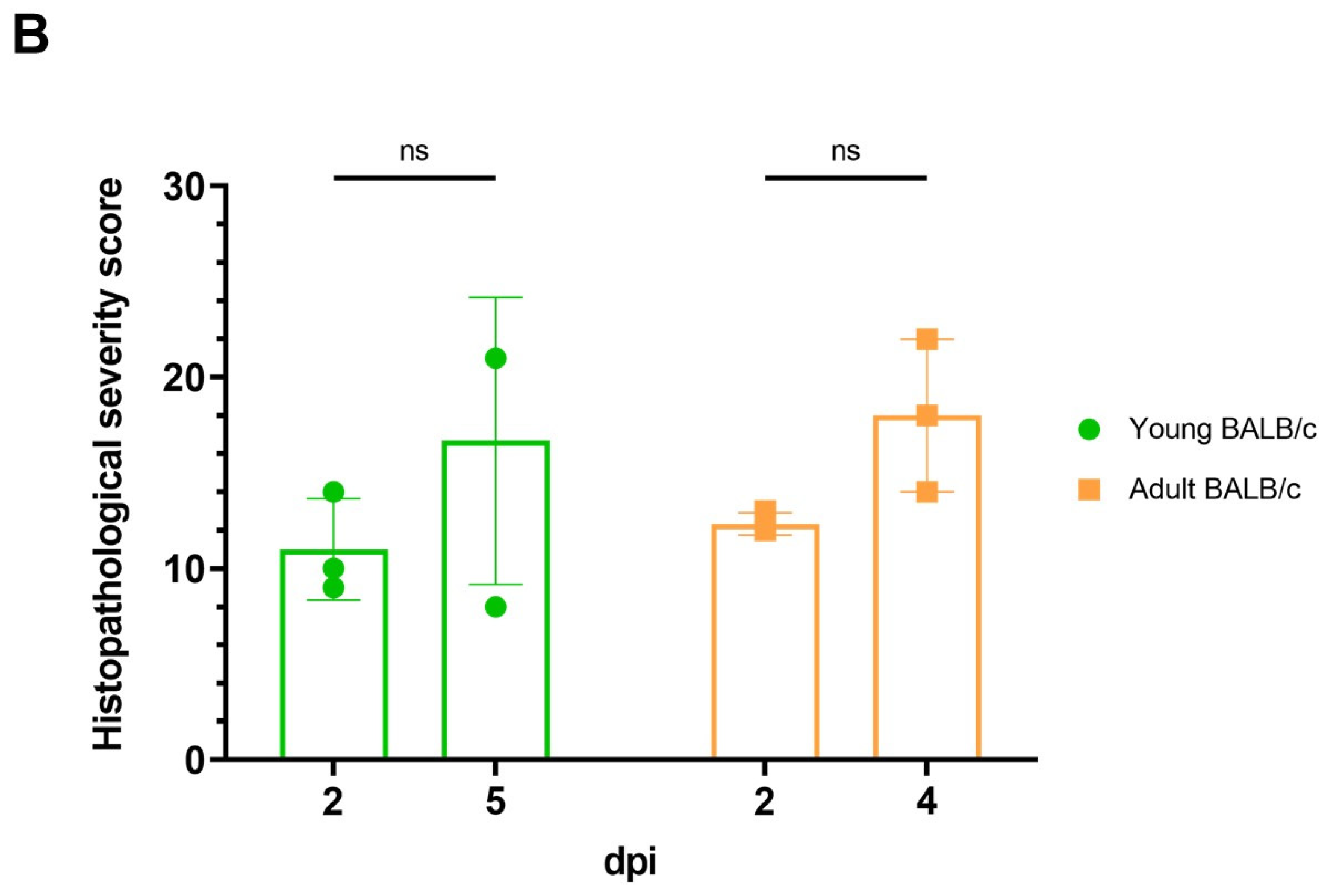 Viruses 16 00537 g002b