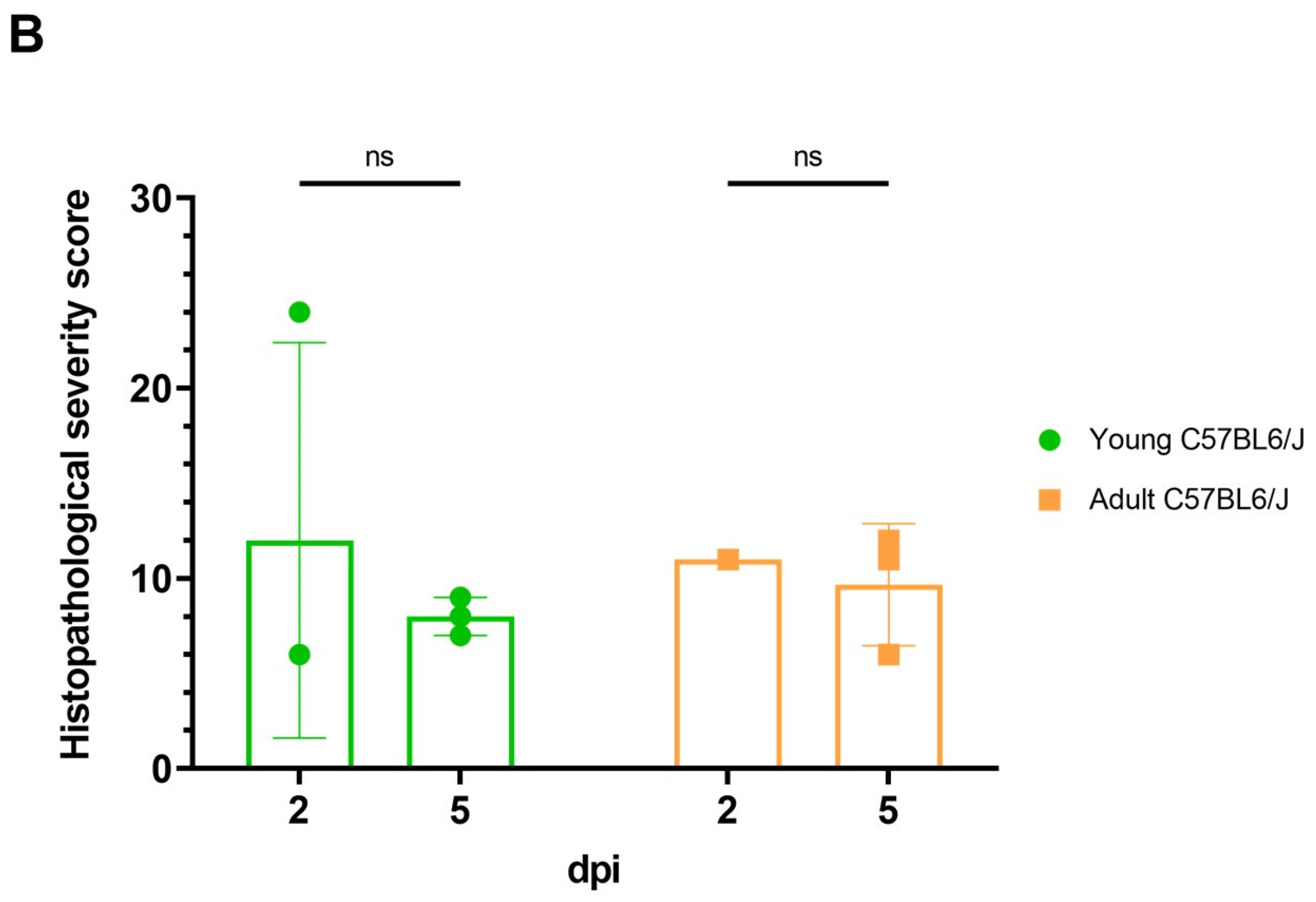 Viruses 16 00537 g004b