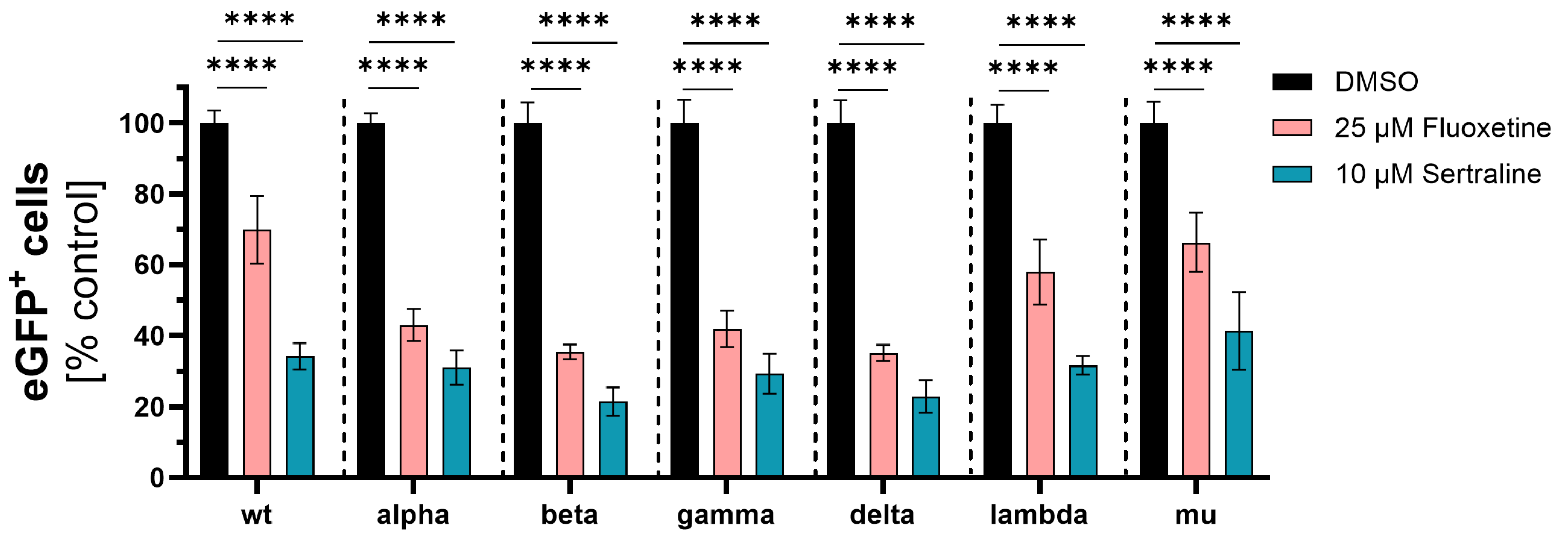 Viruses 16 00545 g001