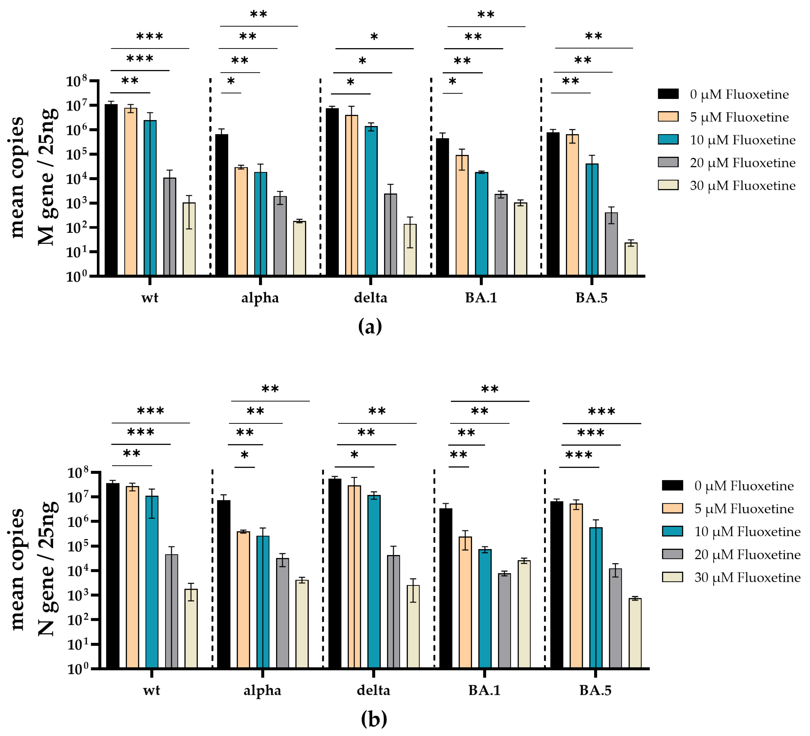Viruses 16 00545 g005