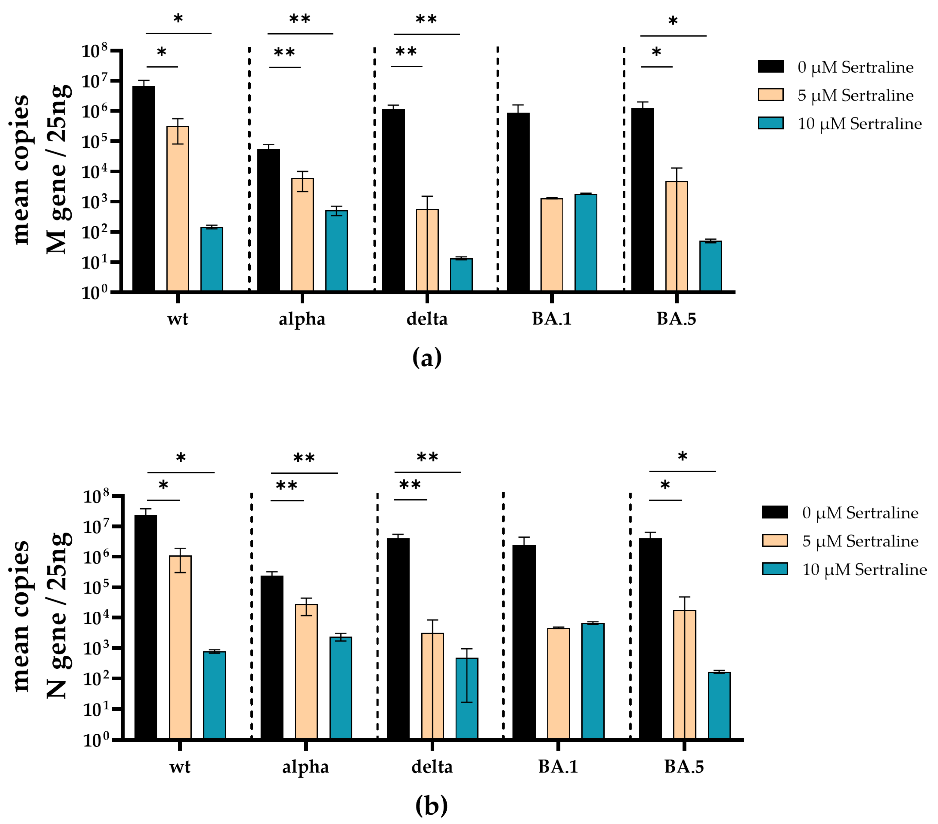 Viruses 16 00545 g006