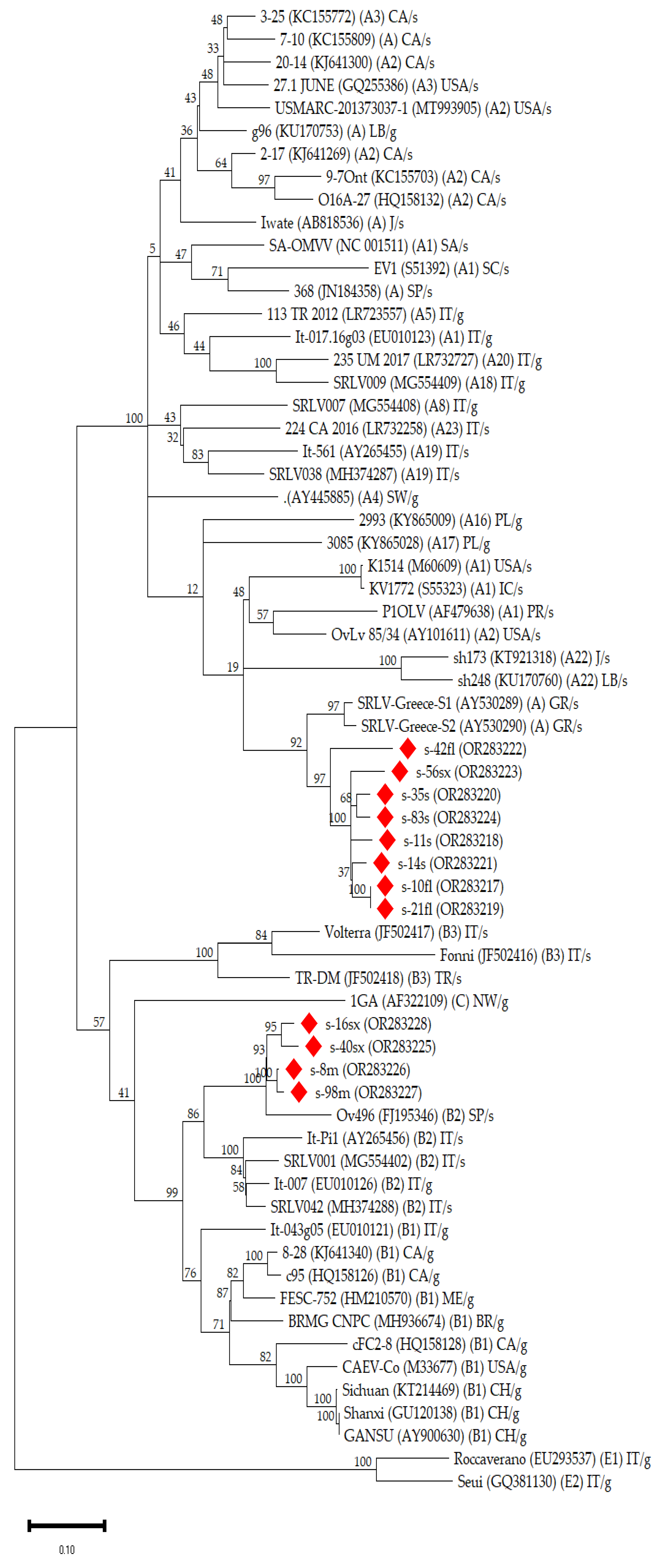 Viruses 16 00547 g001