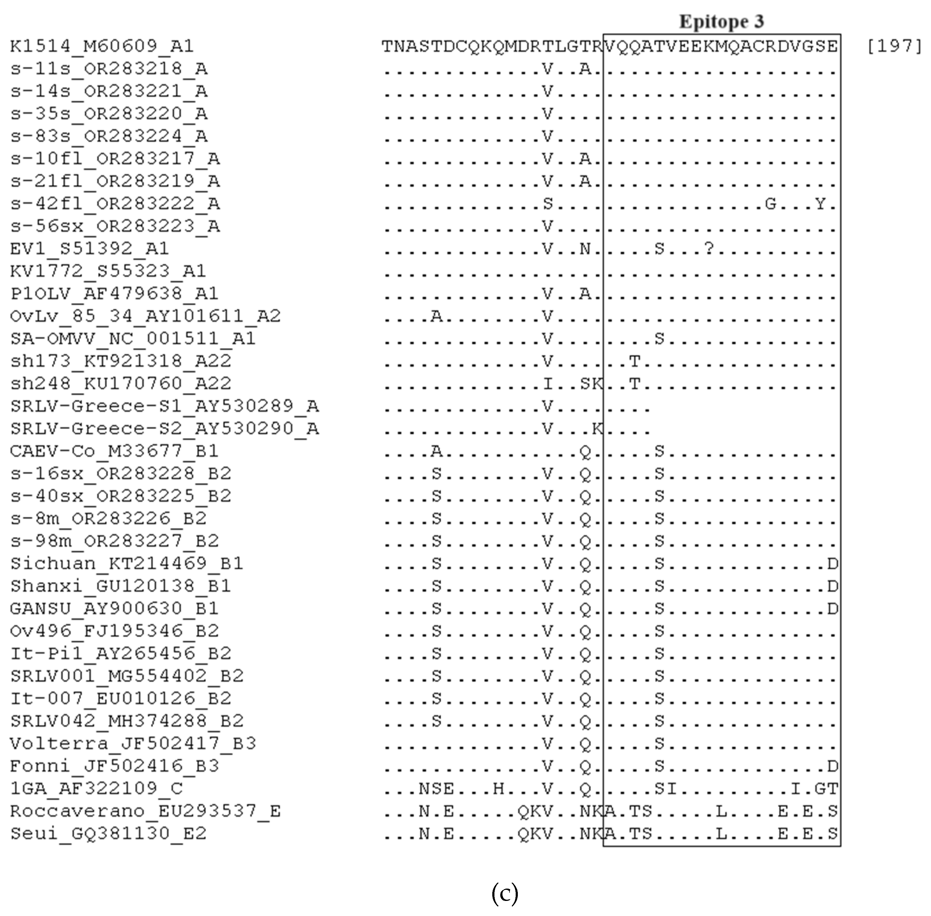 Viruses 16 00547 g002b