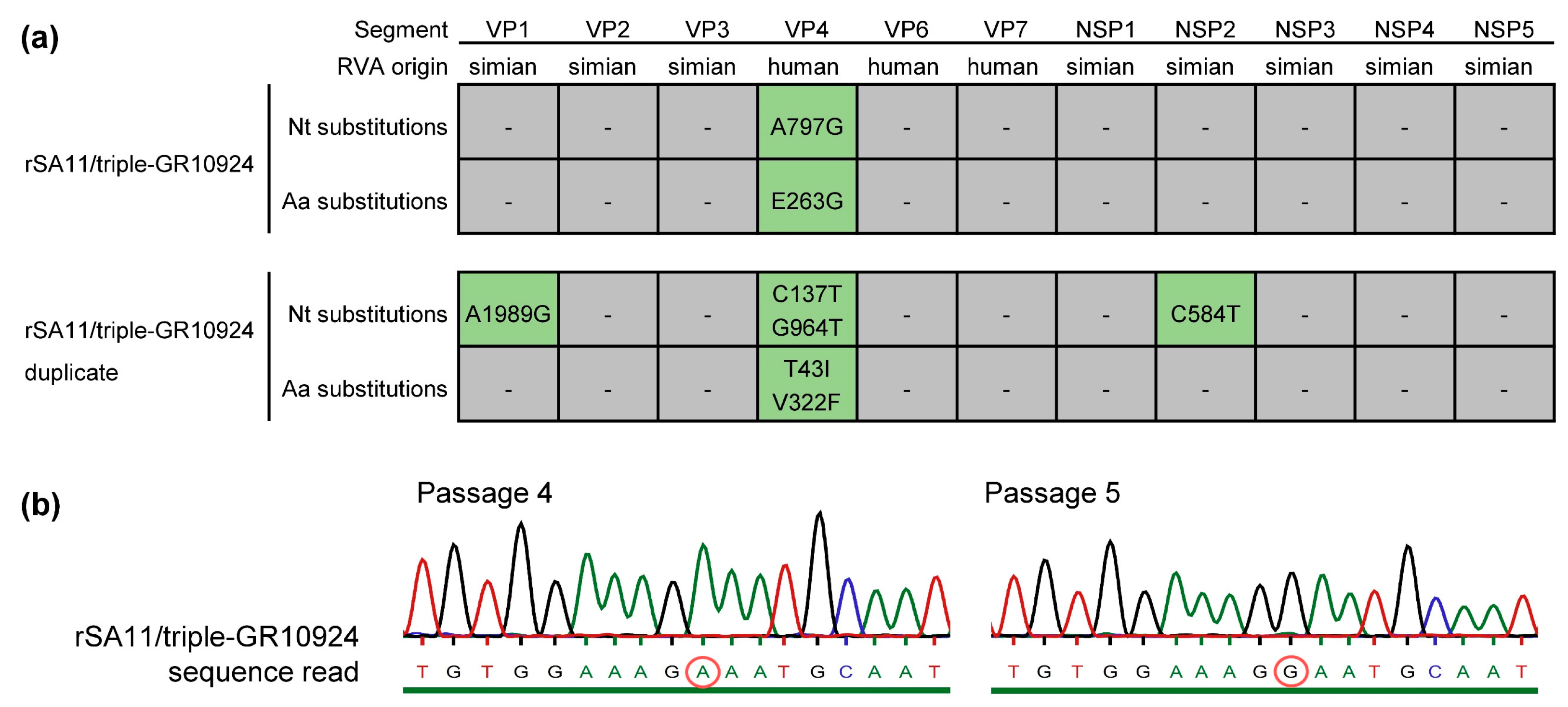 Viruses 16 00565 g002