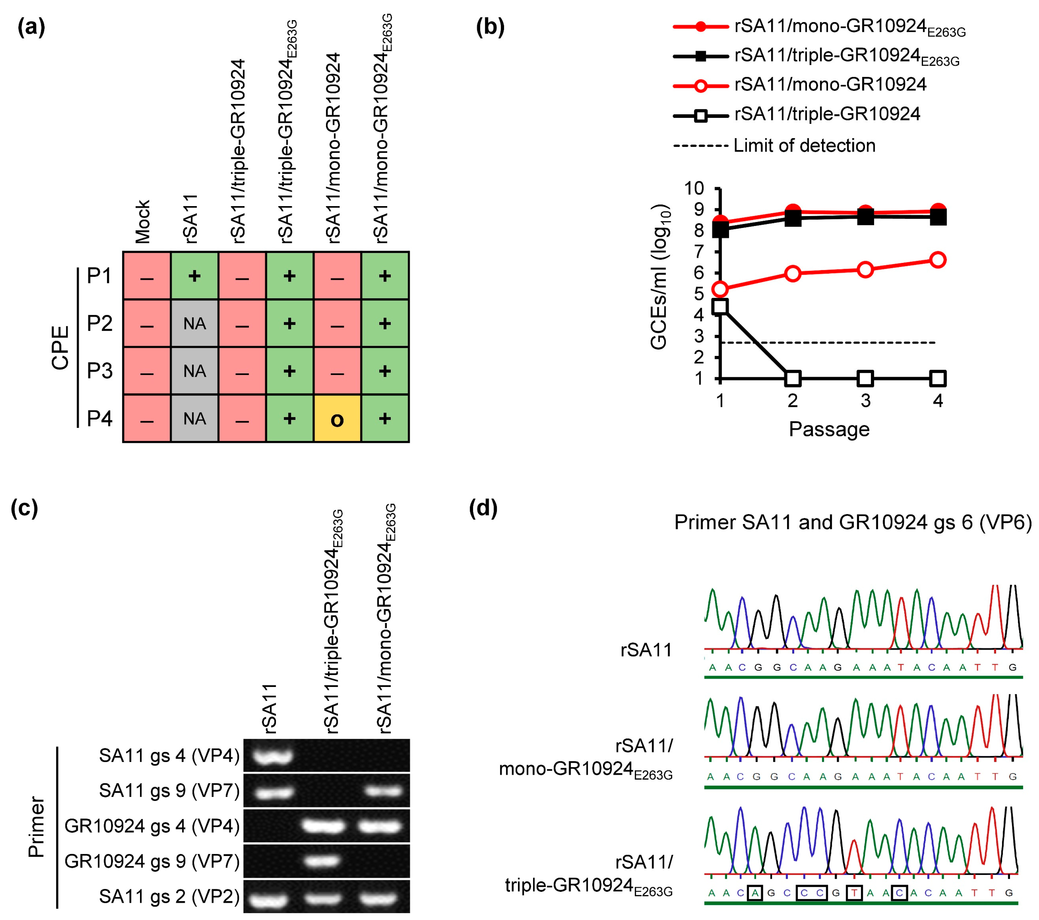 Viruses 16 00565 g003