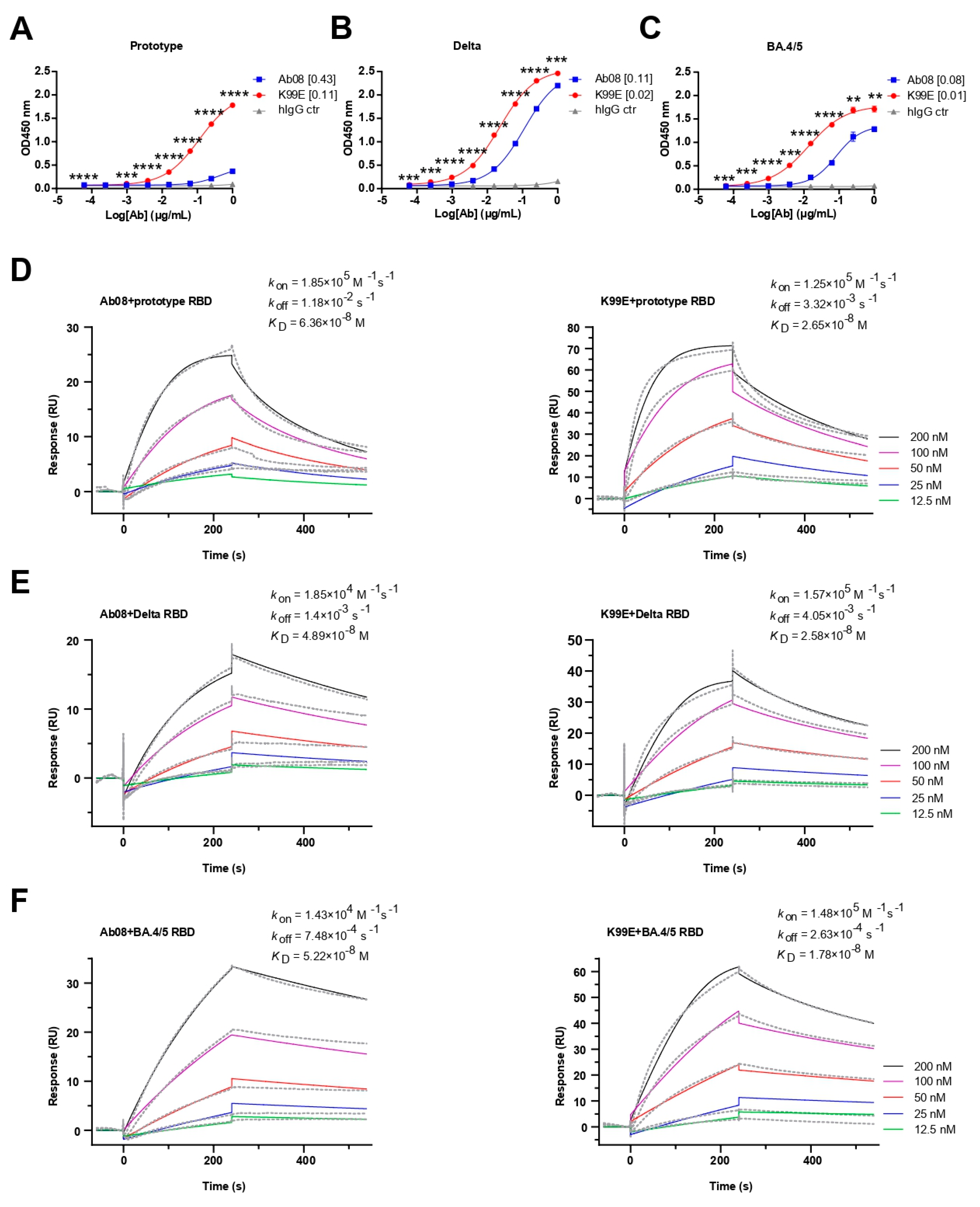 Viruses 16 00566 g003