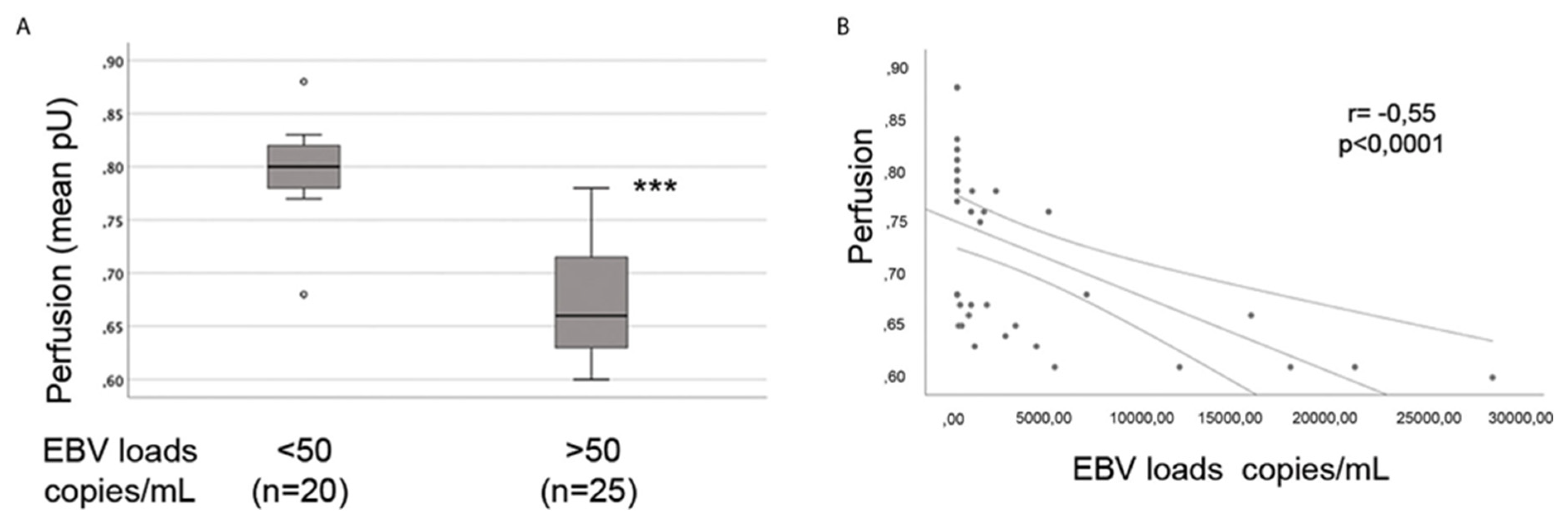 Viruses 16 00572 g003