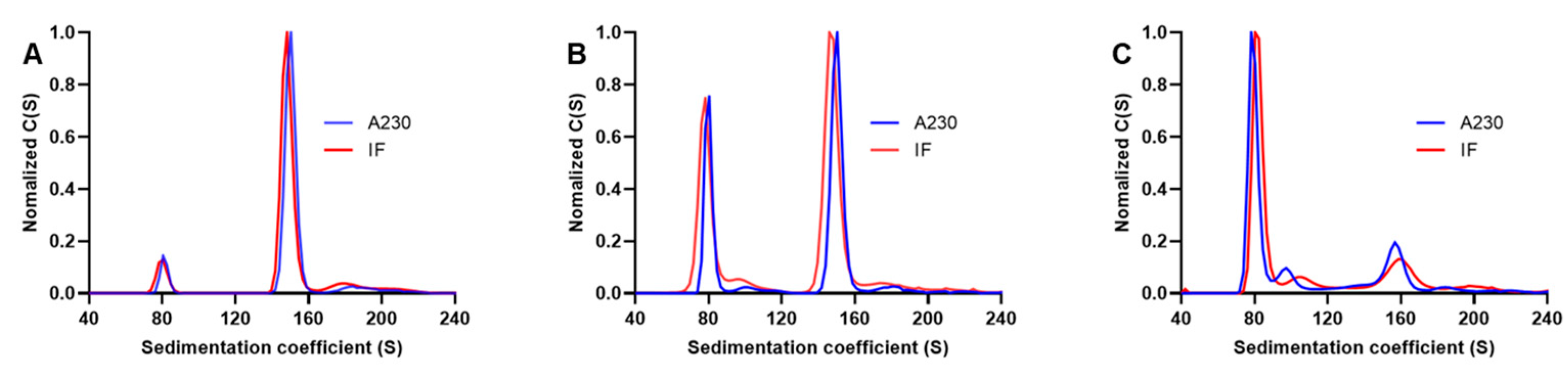 Viruses 16 00573 g003