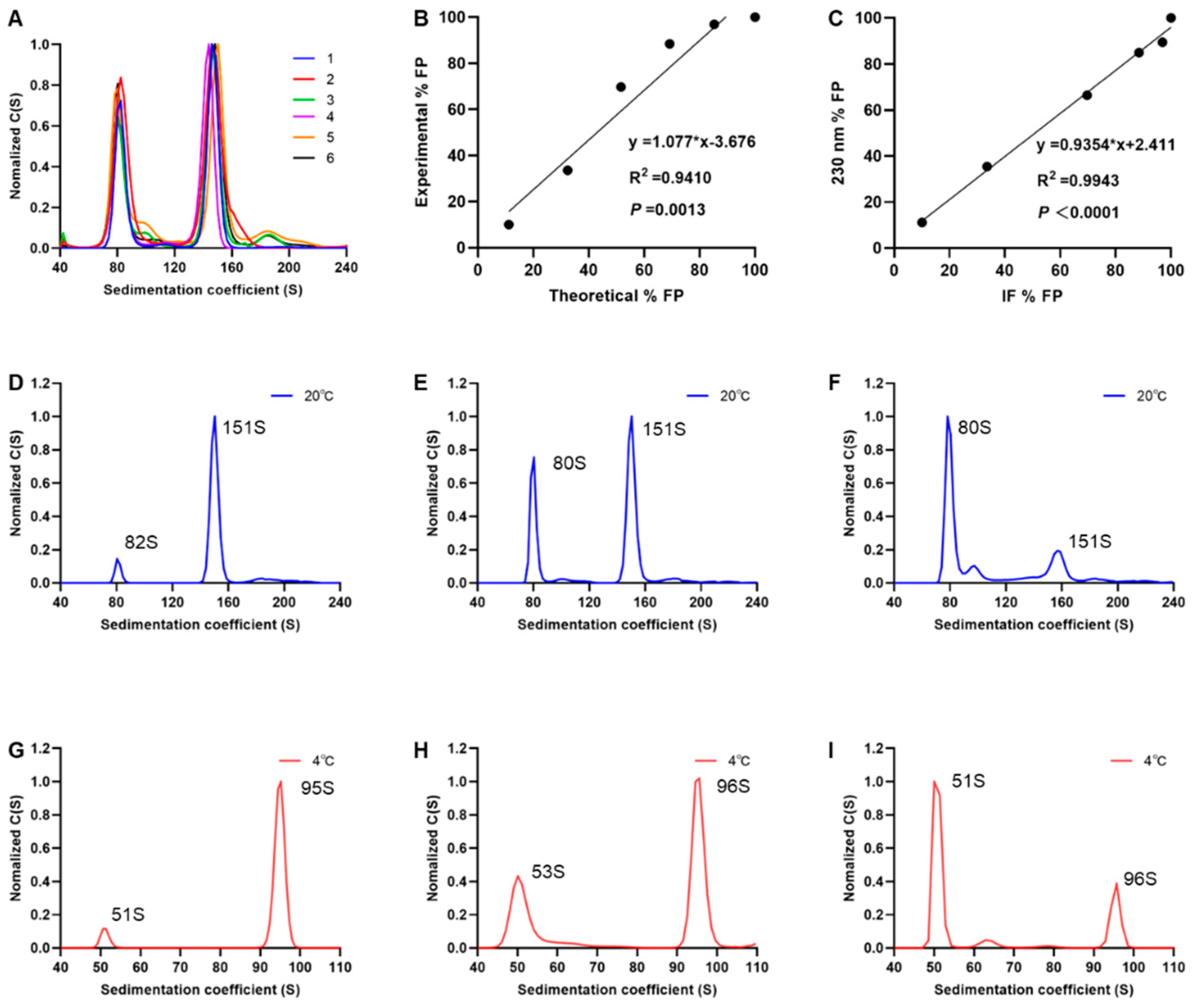 Viruses 16 00573 g004
