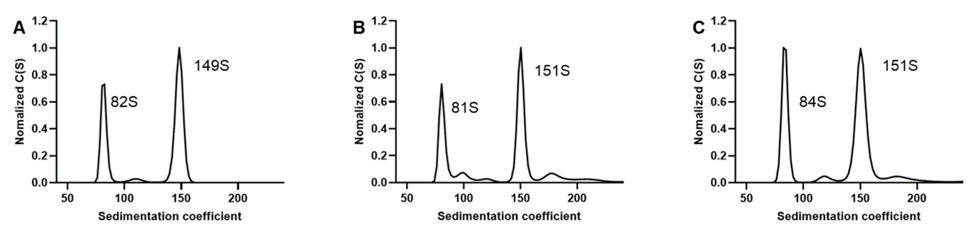 Viruses 16 00573 g005