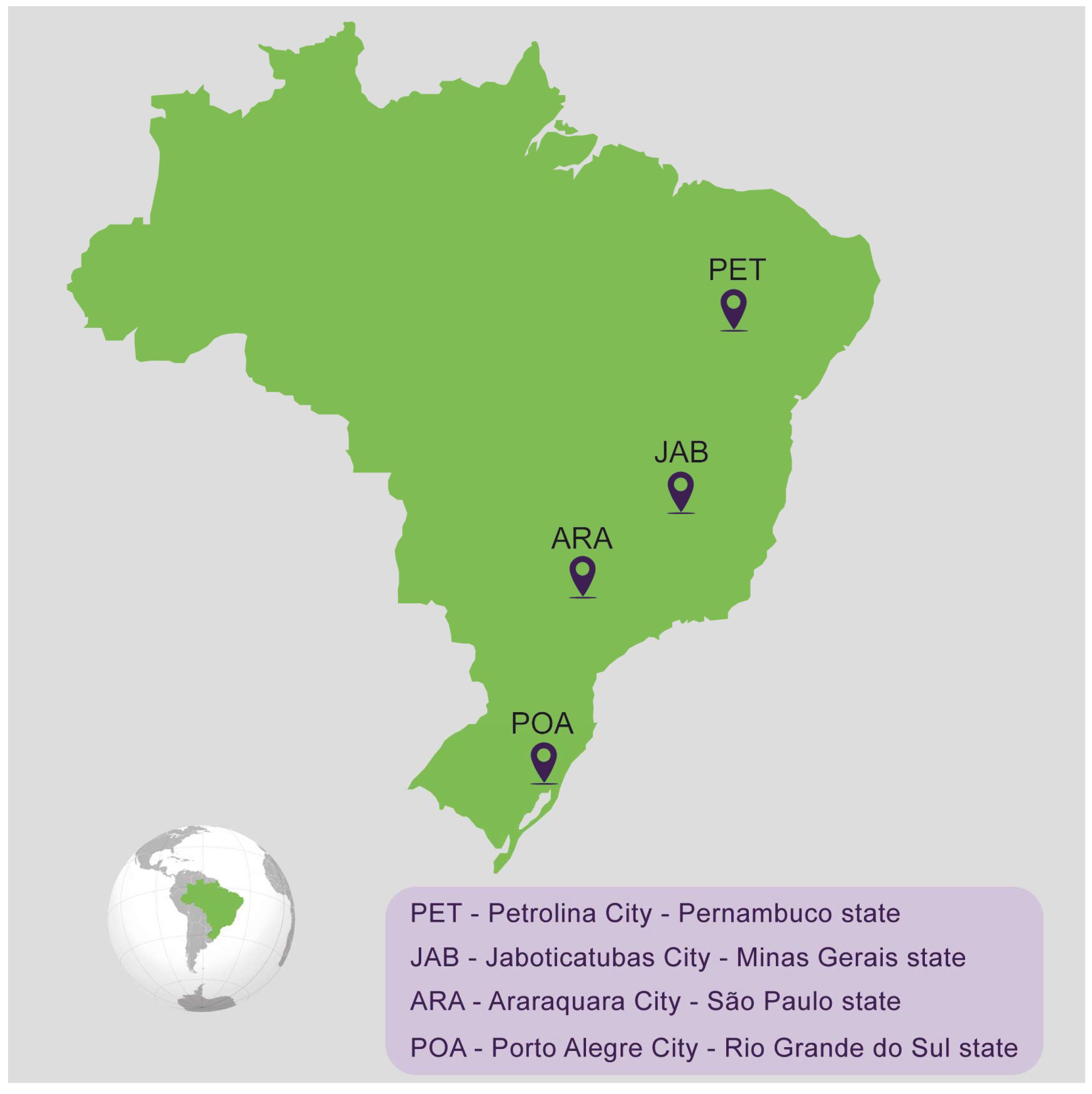 Viruses 16 00575 g001