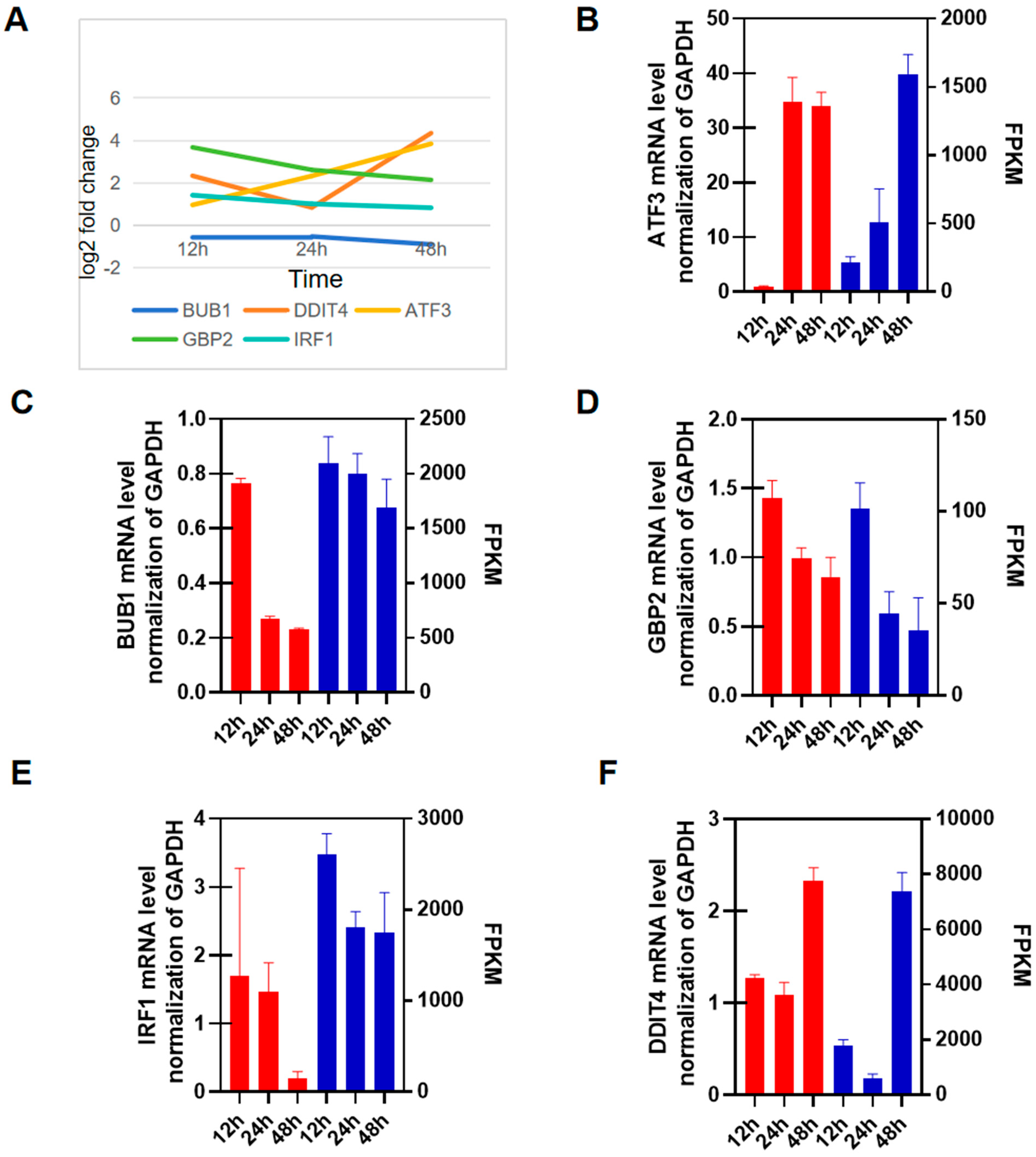 Viruses 16 00579 g005