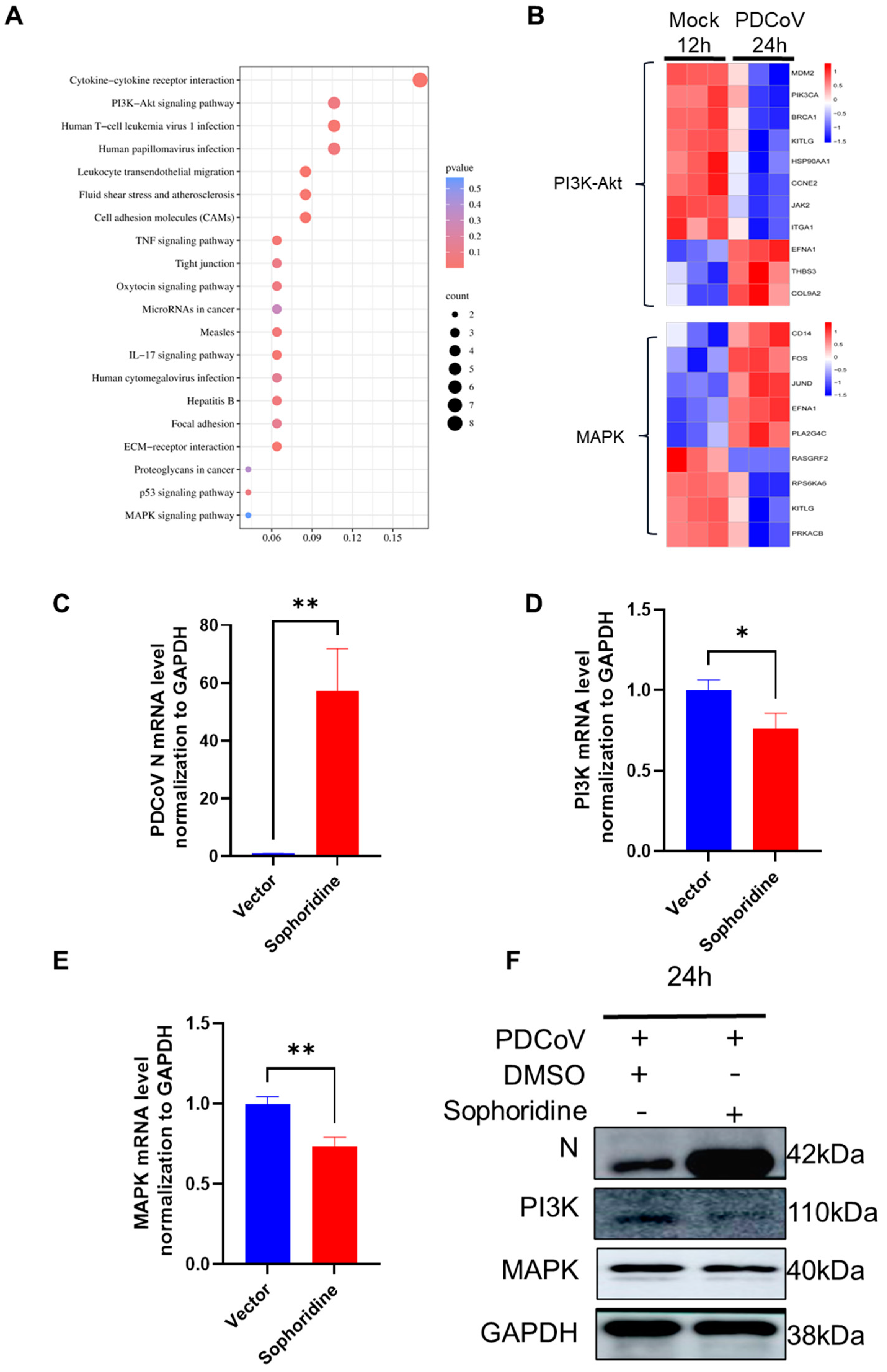 Viruses | Free Full-Text | Transcriptomic Analysis of PDCoV