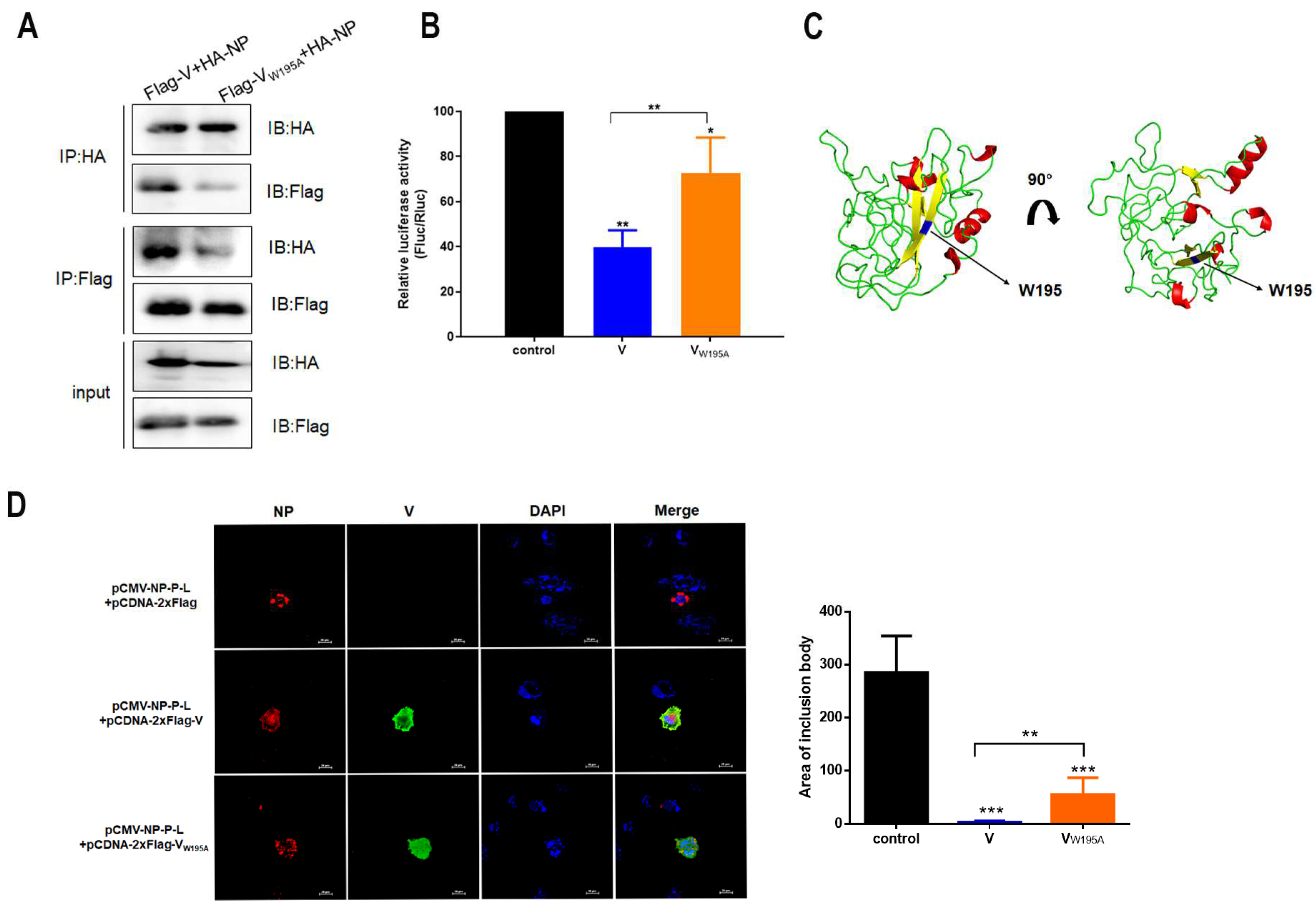 Viruses 16 00584 g003