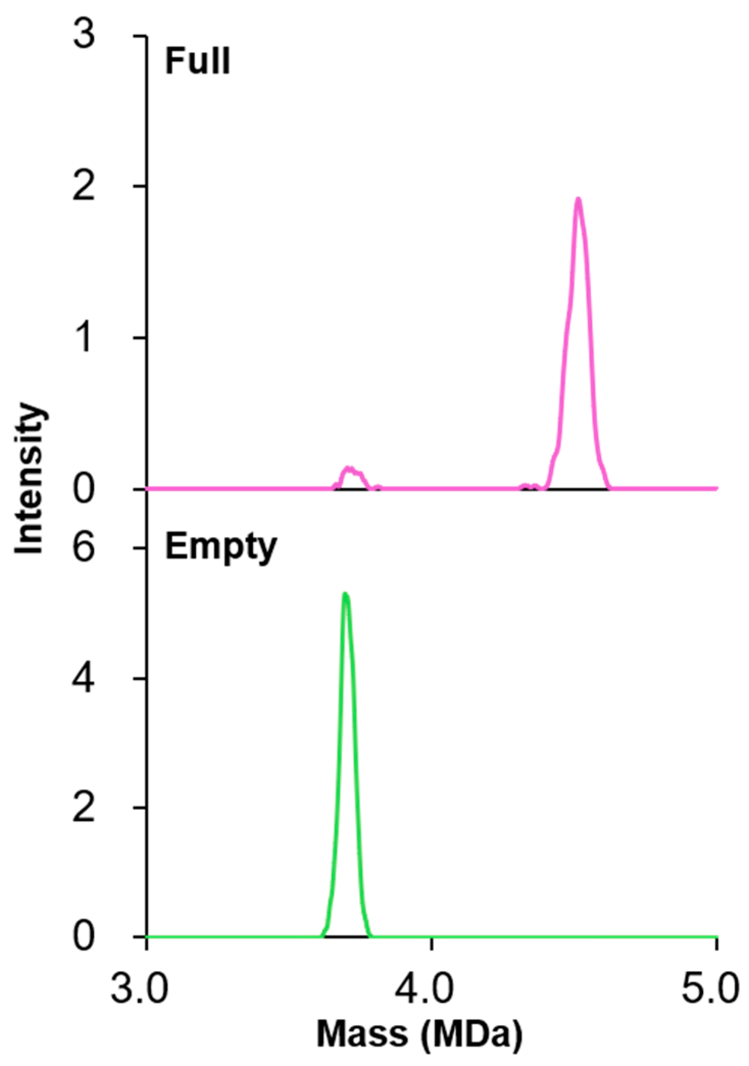 Viruses 16 00585 g001