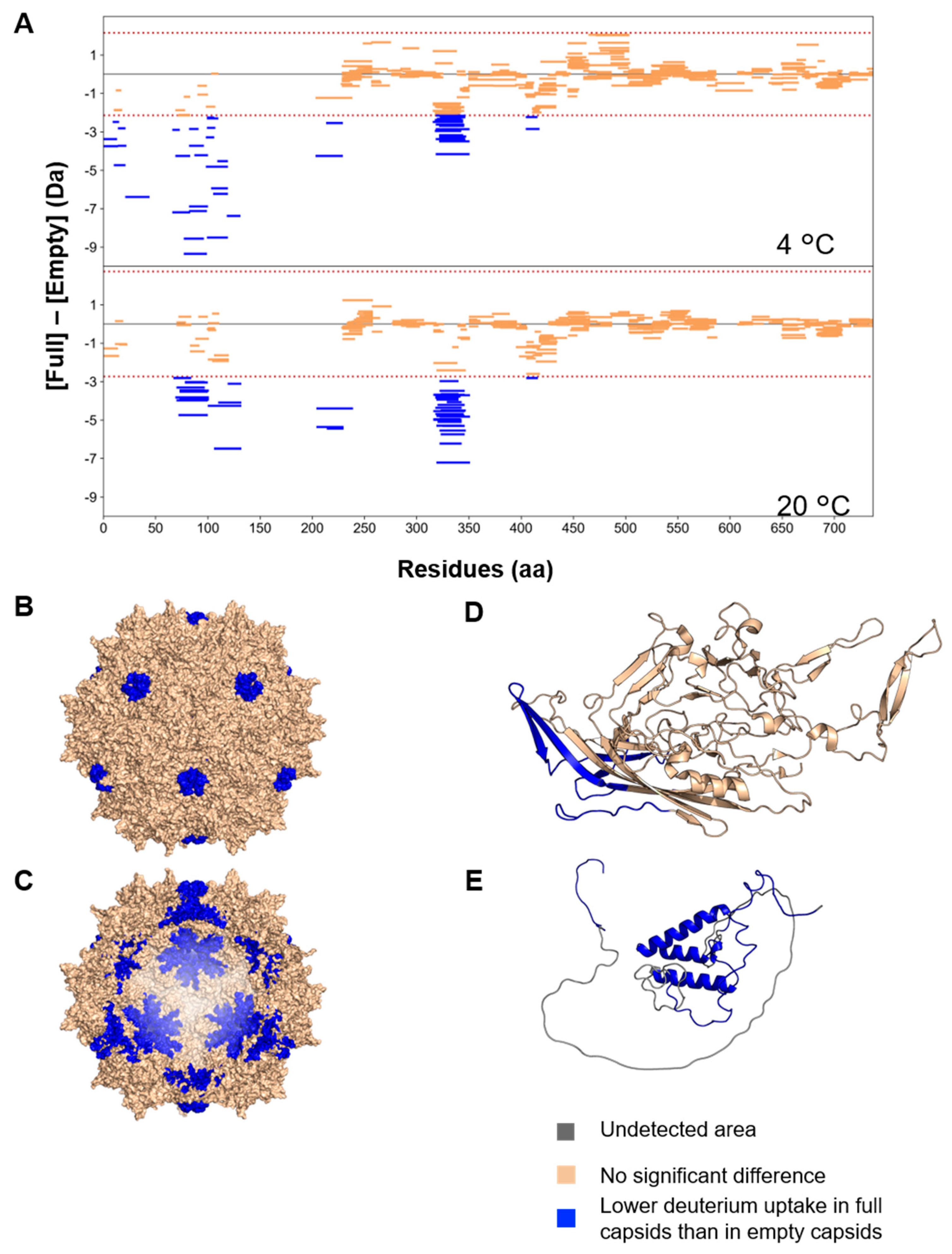 Viruses 16 00585 g004