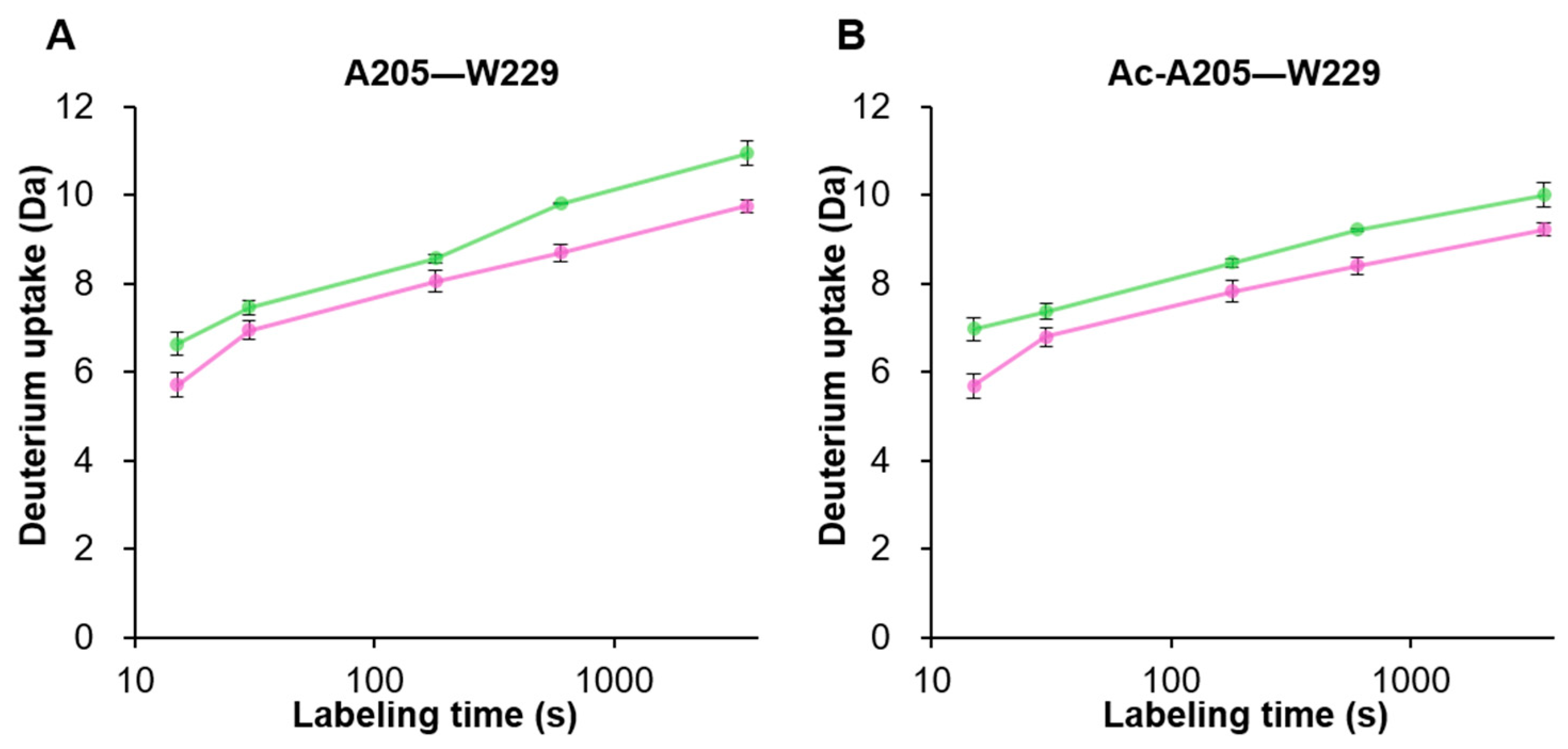 Viruses 16 00585 g005