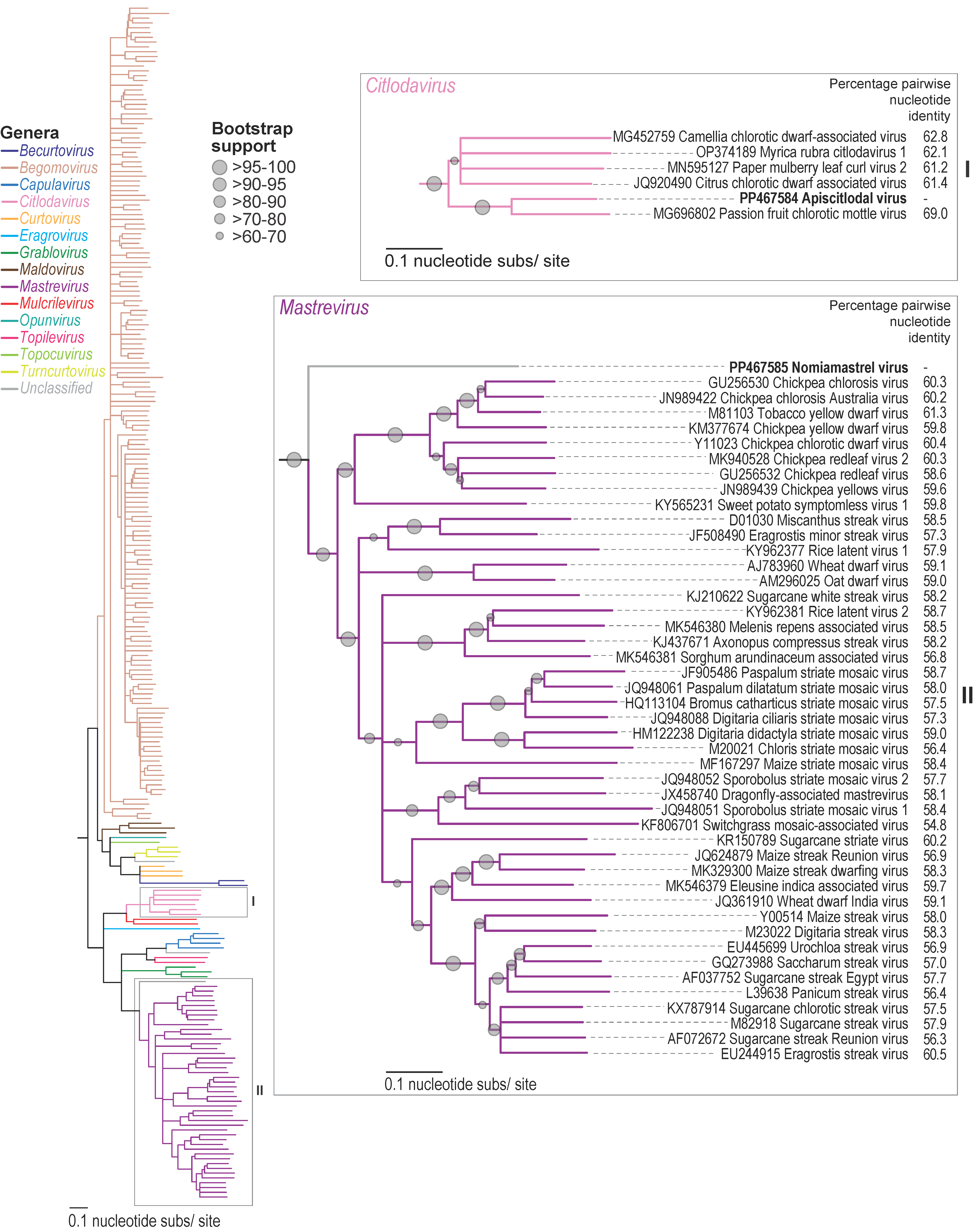 Viruses 16 00602 g002
