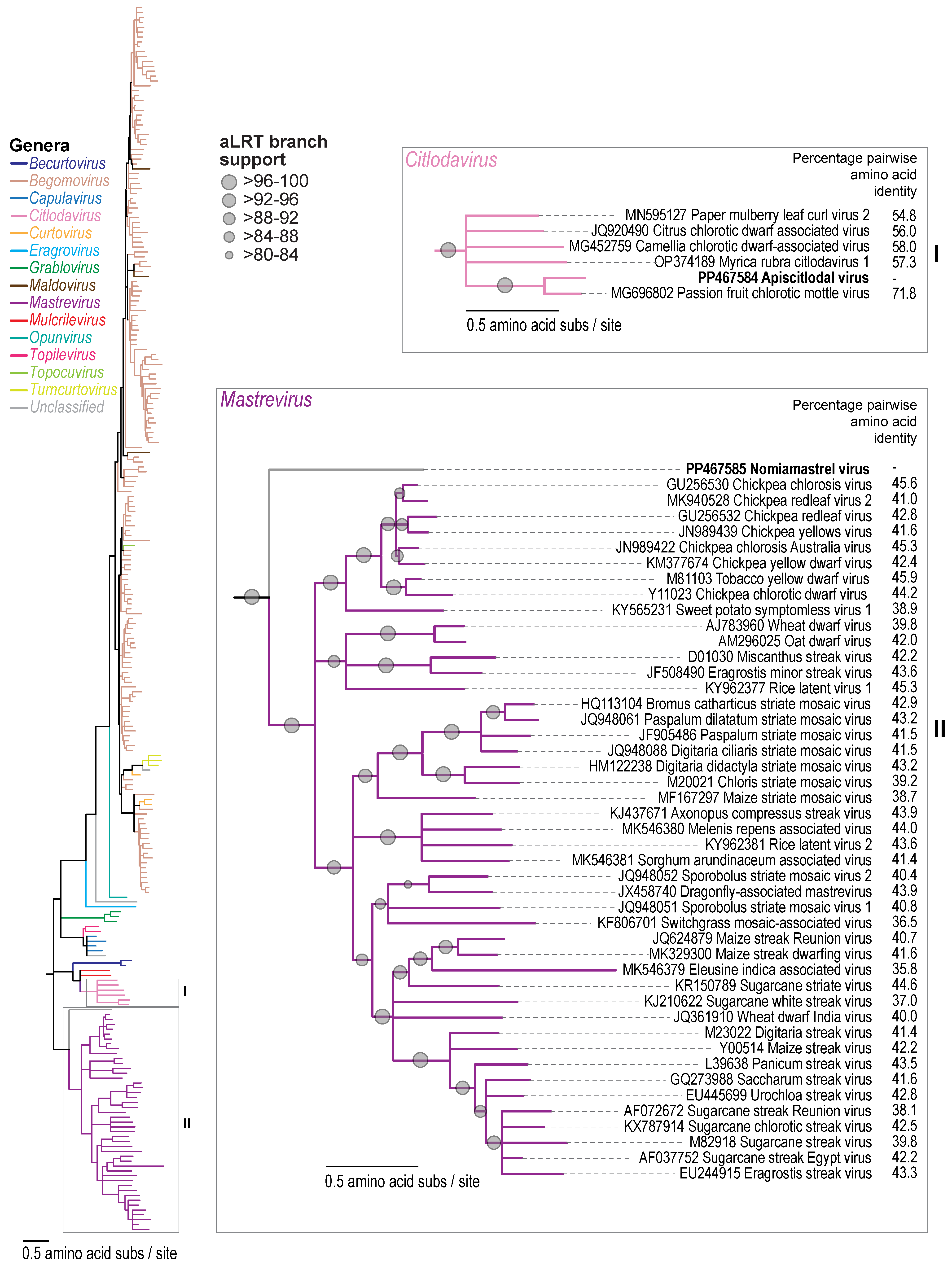 Viruses 16 00602 g003