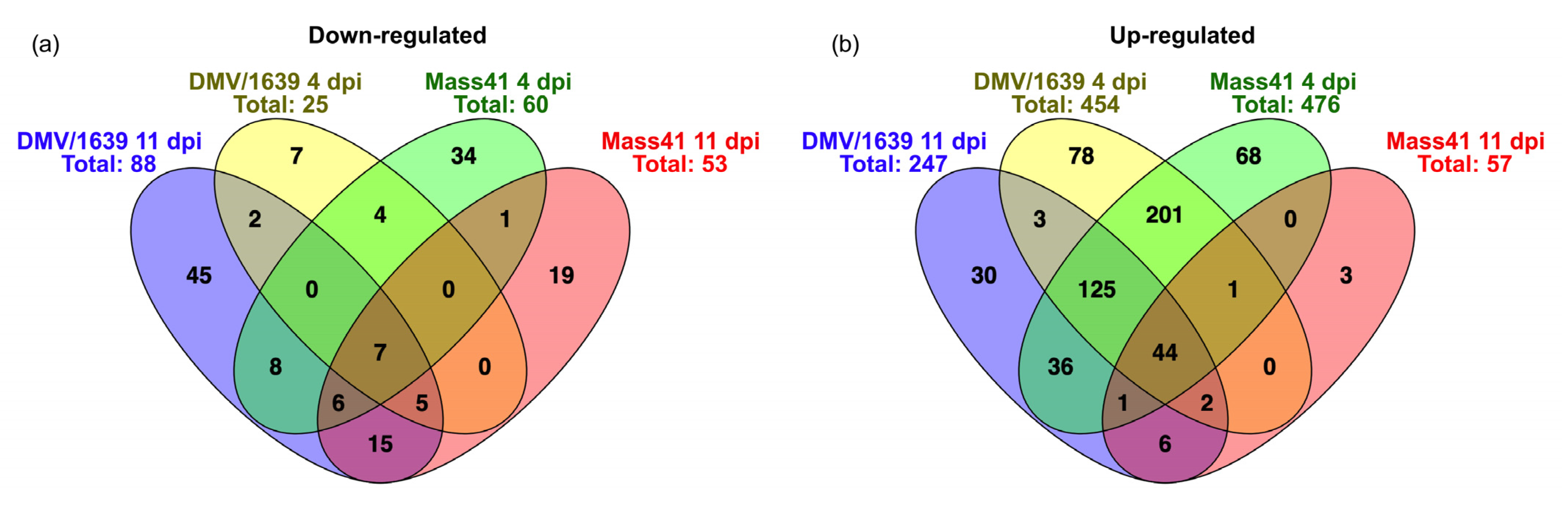 Viruses 16 00605 g008