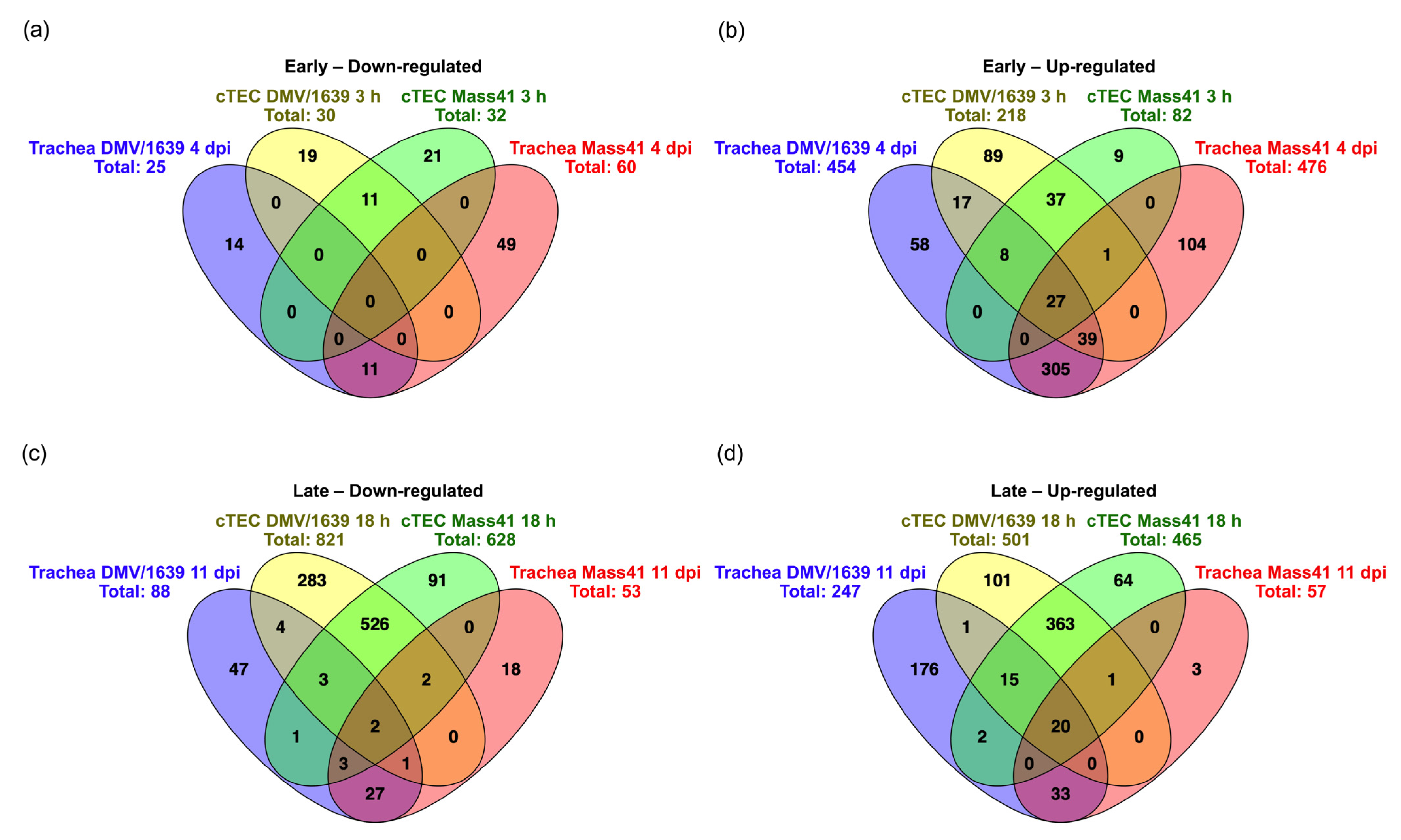 Viruses 16 00605 g011