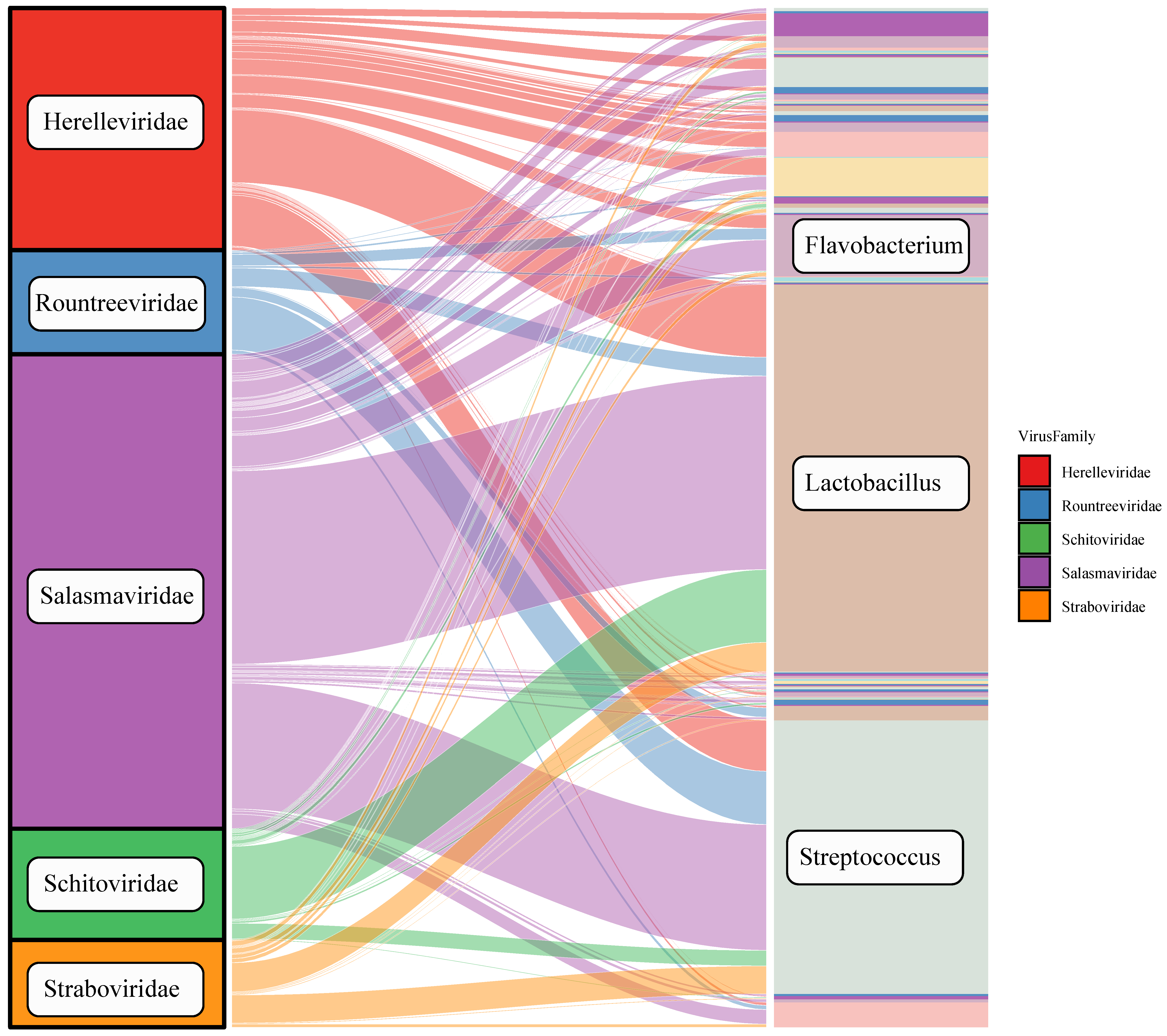 Viruses 16 00606 g002