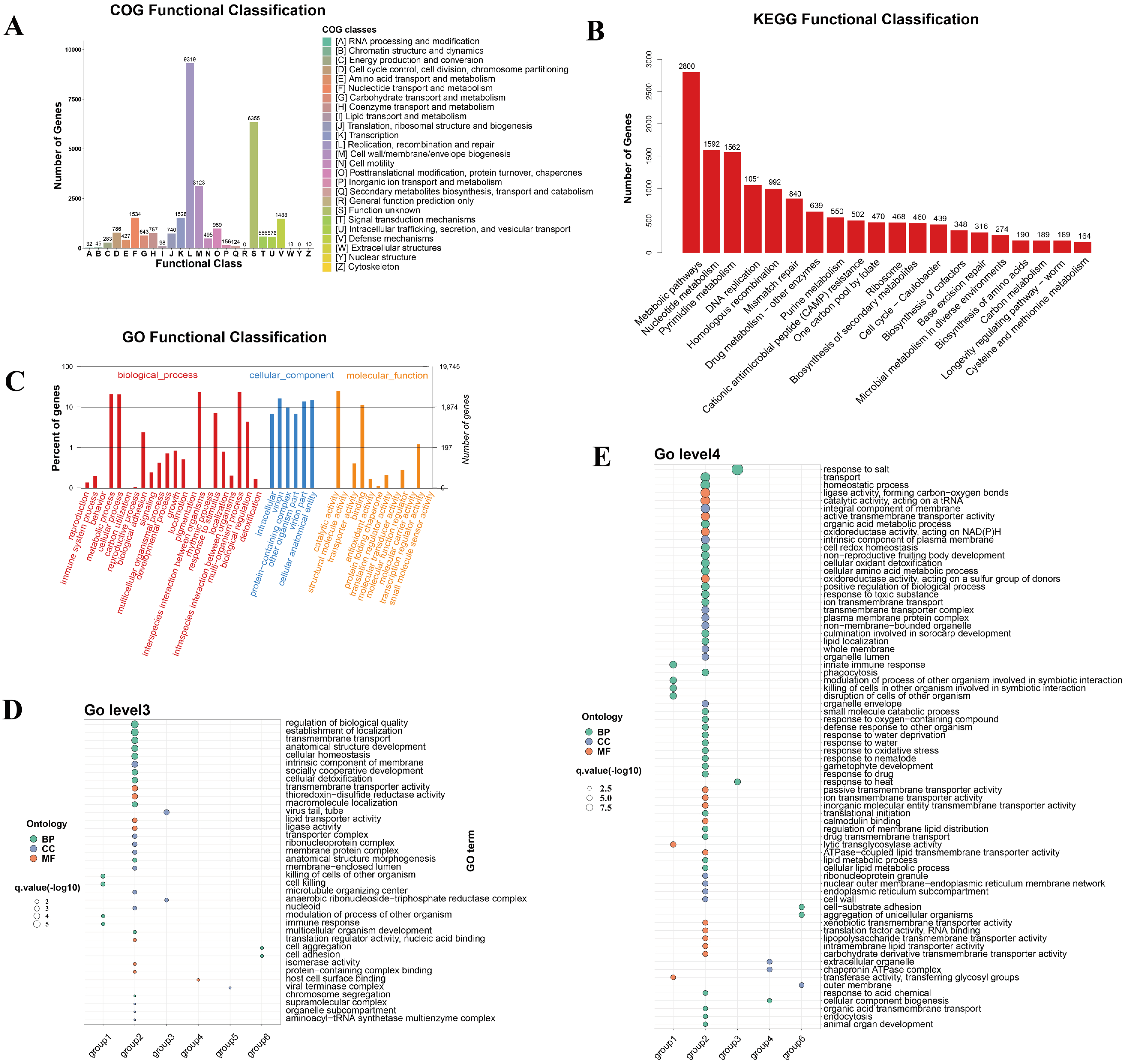 Viruses 16 00606 g003