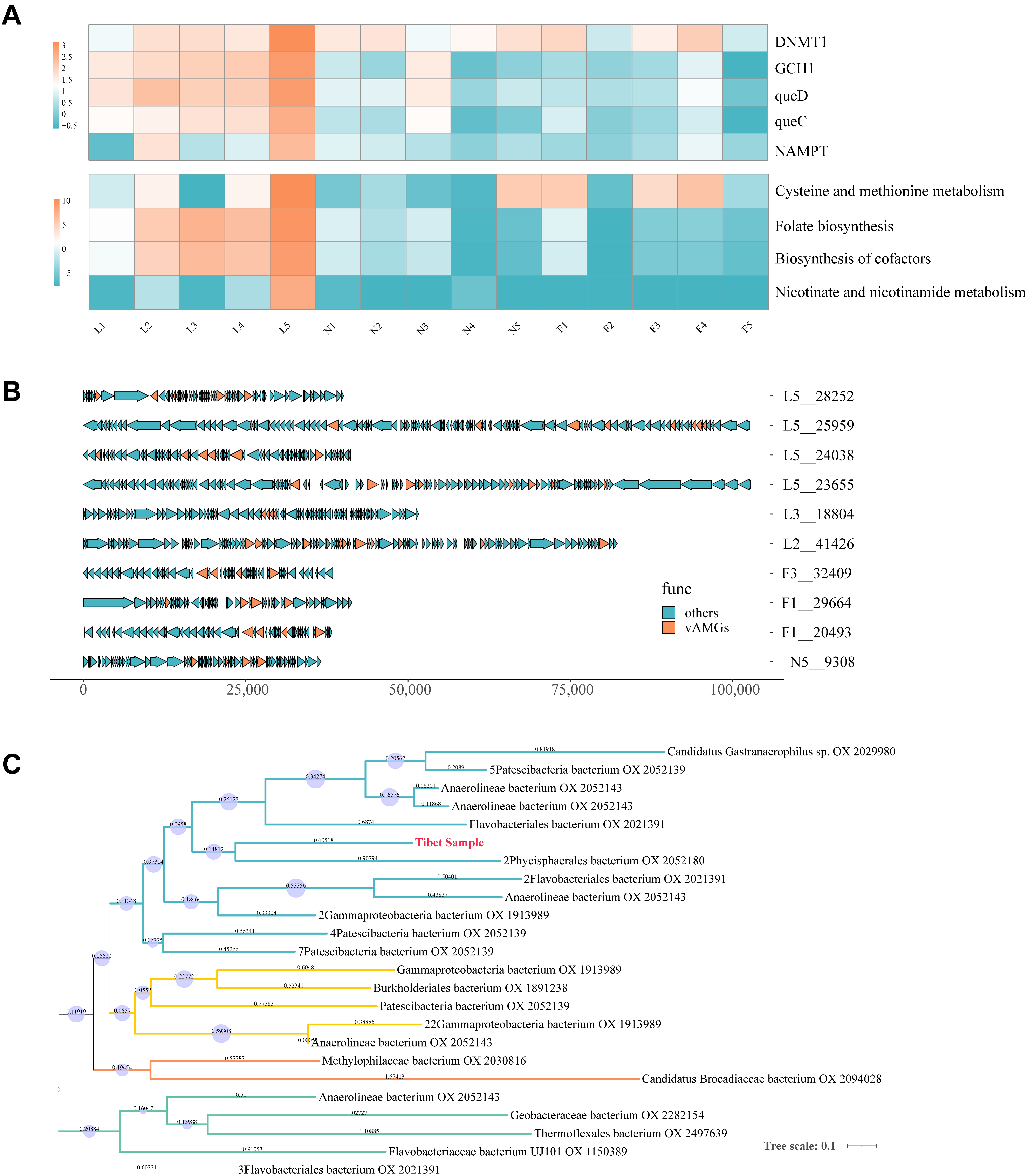Viruses 16 00606 g004