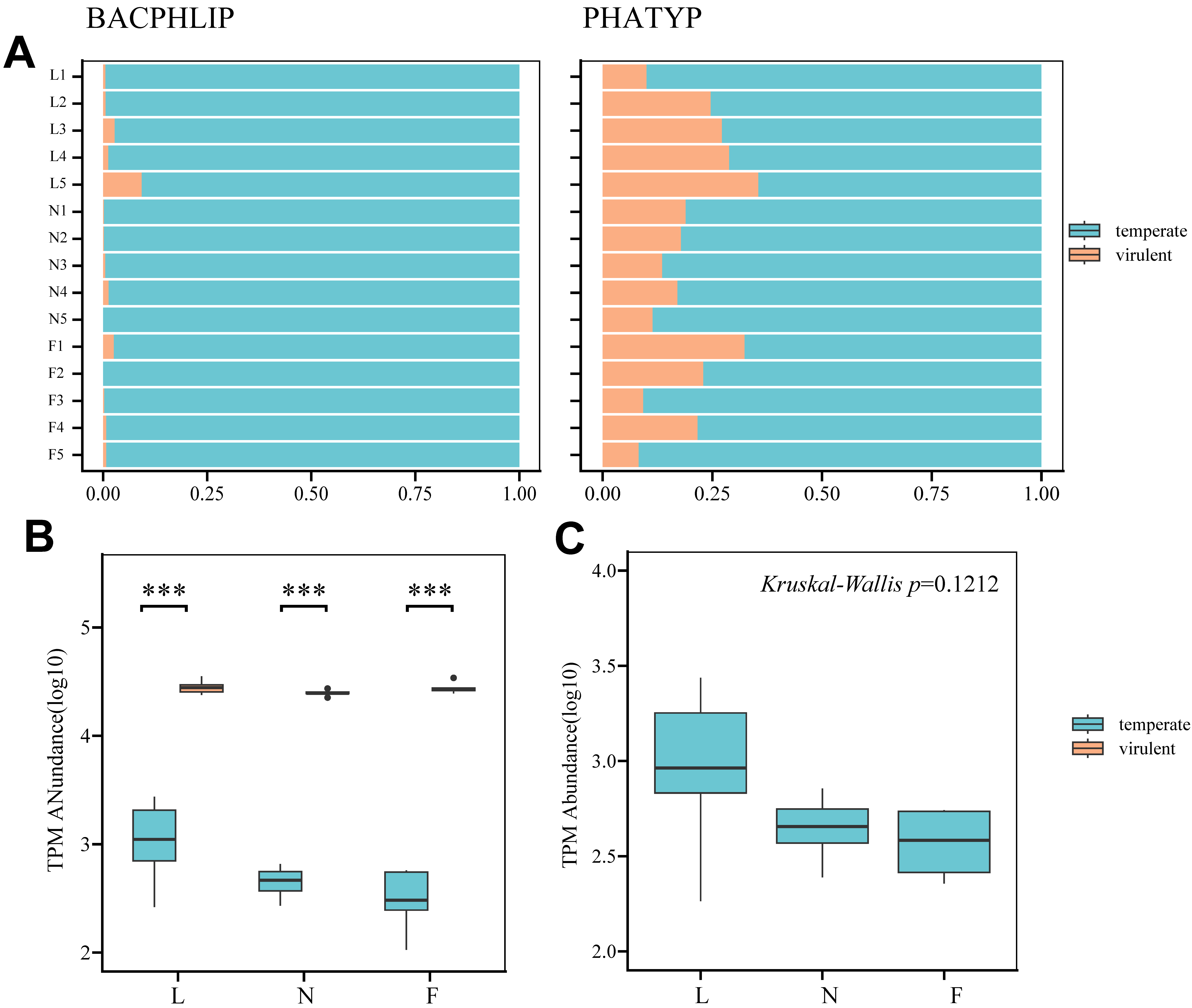 Viruses 16 00606 g005