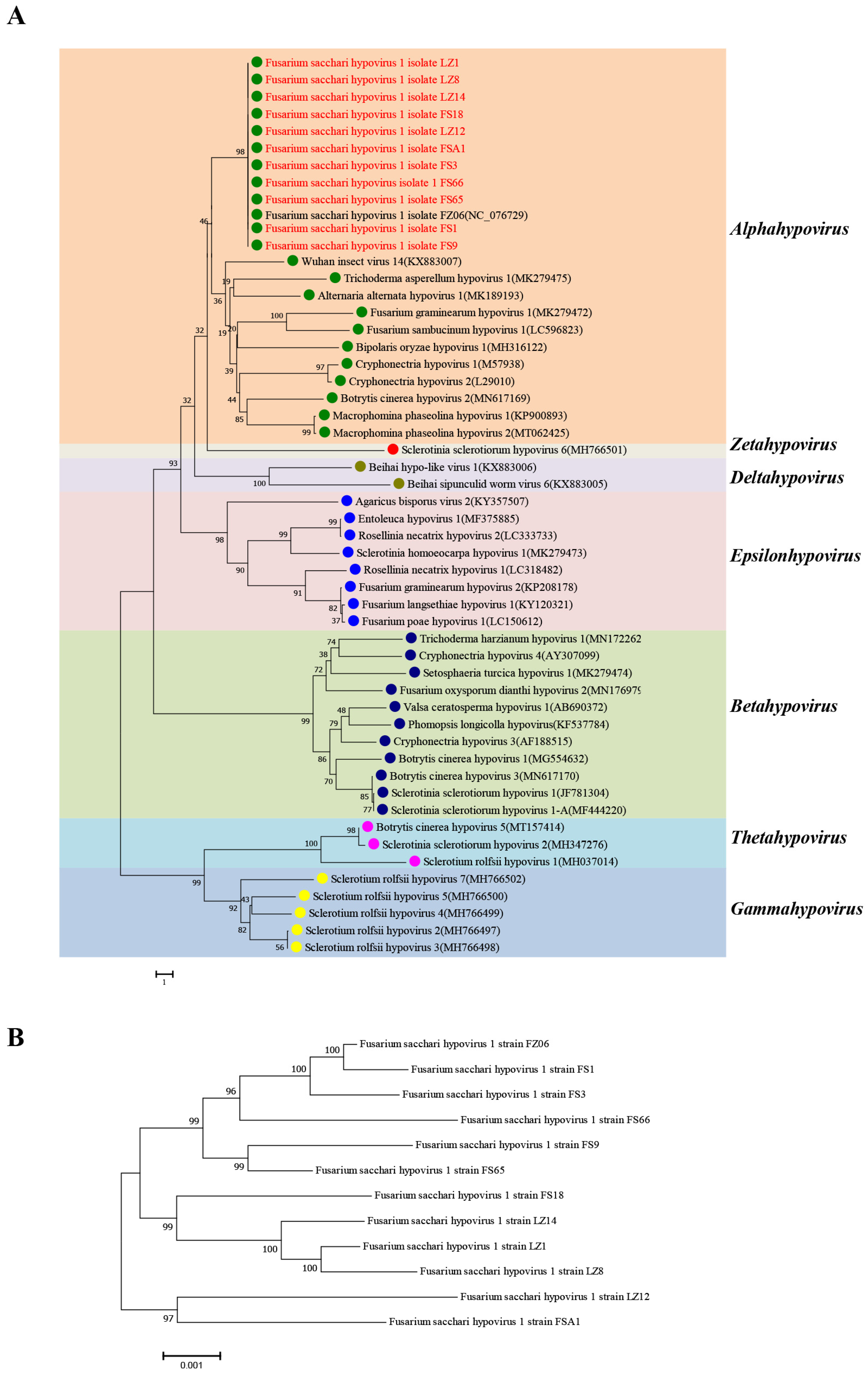 Viruses 16 00608 g002