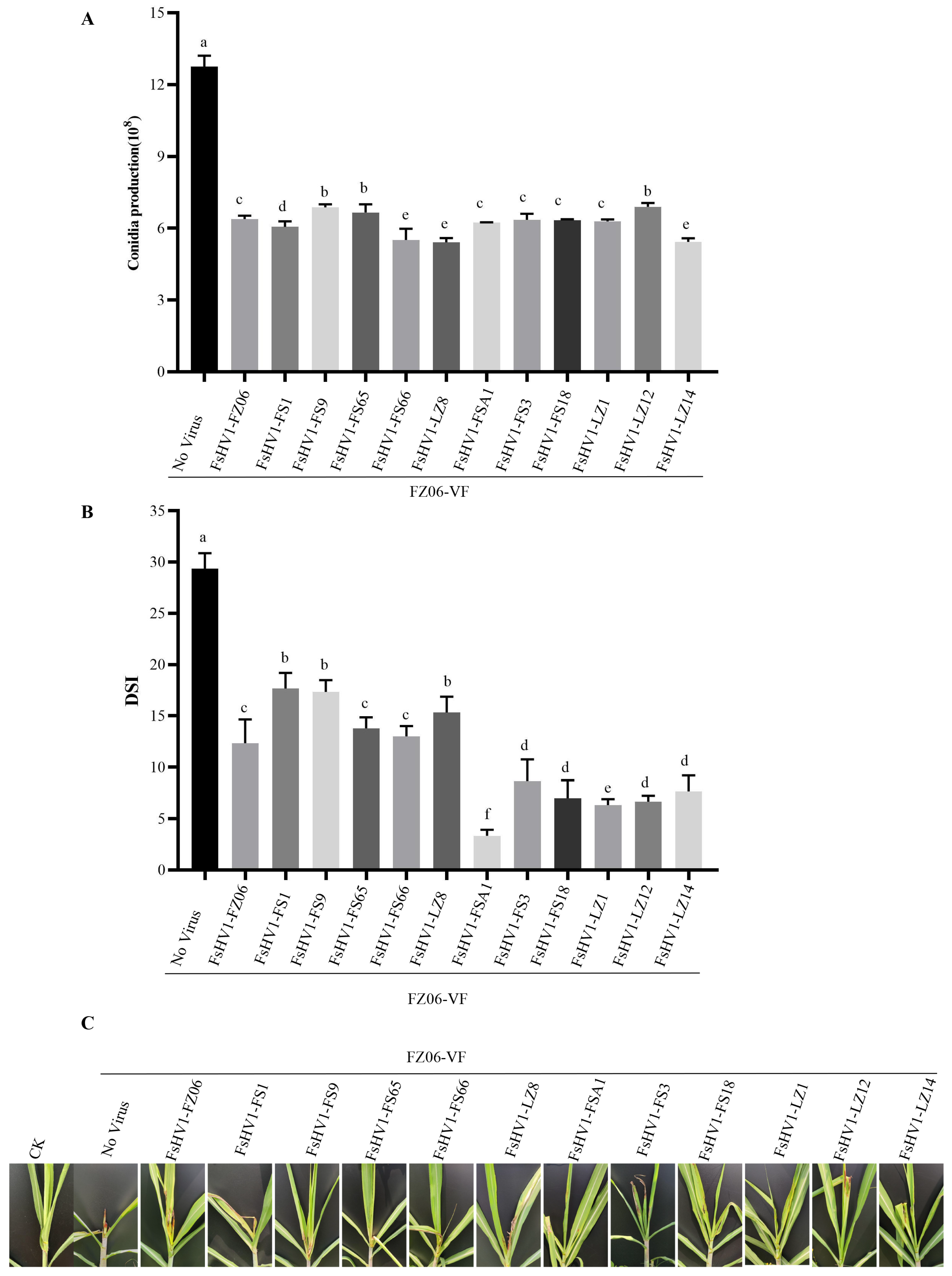 Viruses 16 00608 g005