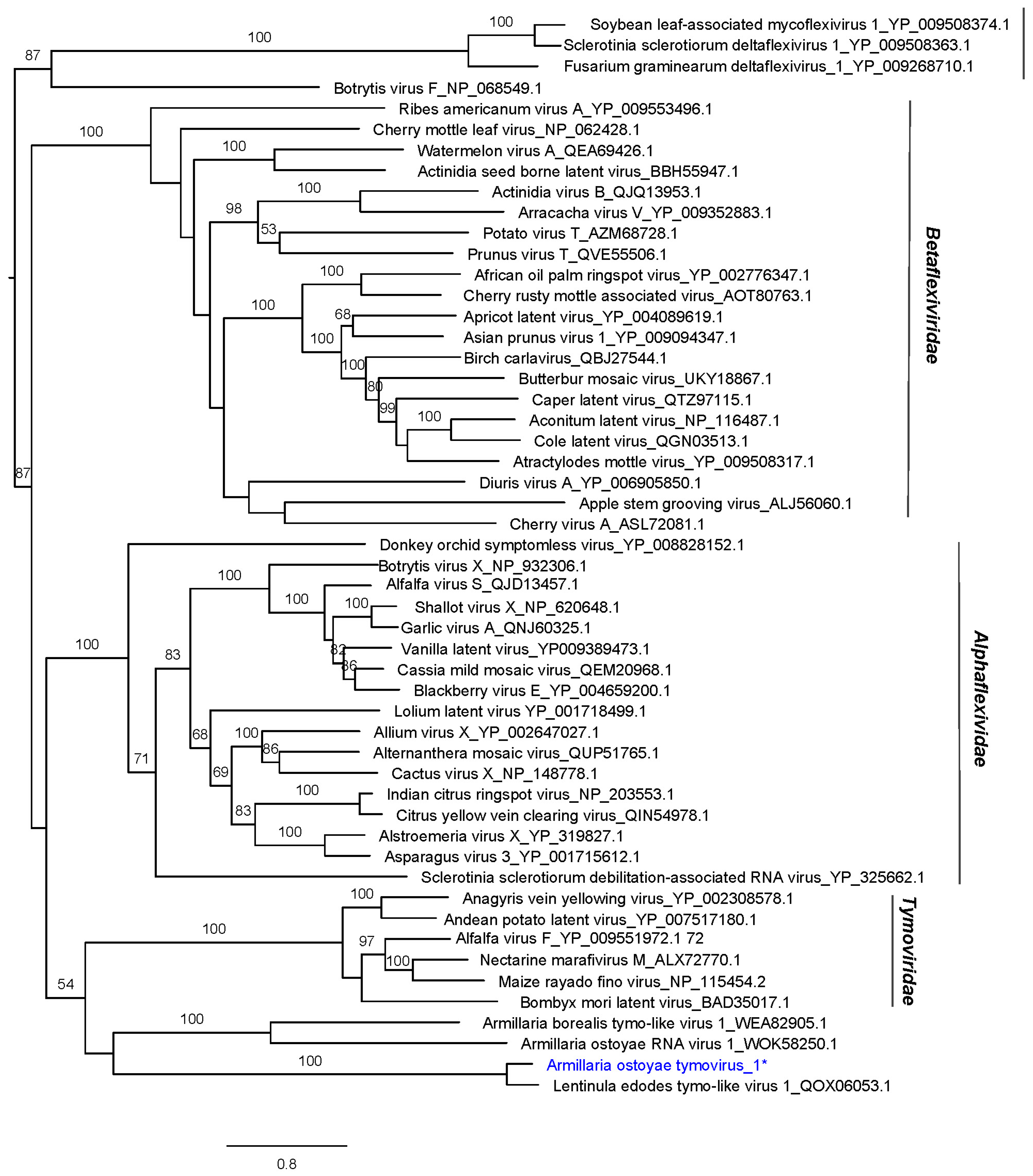 Viruses 16 00610 g003