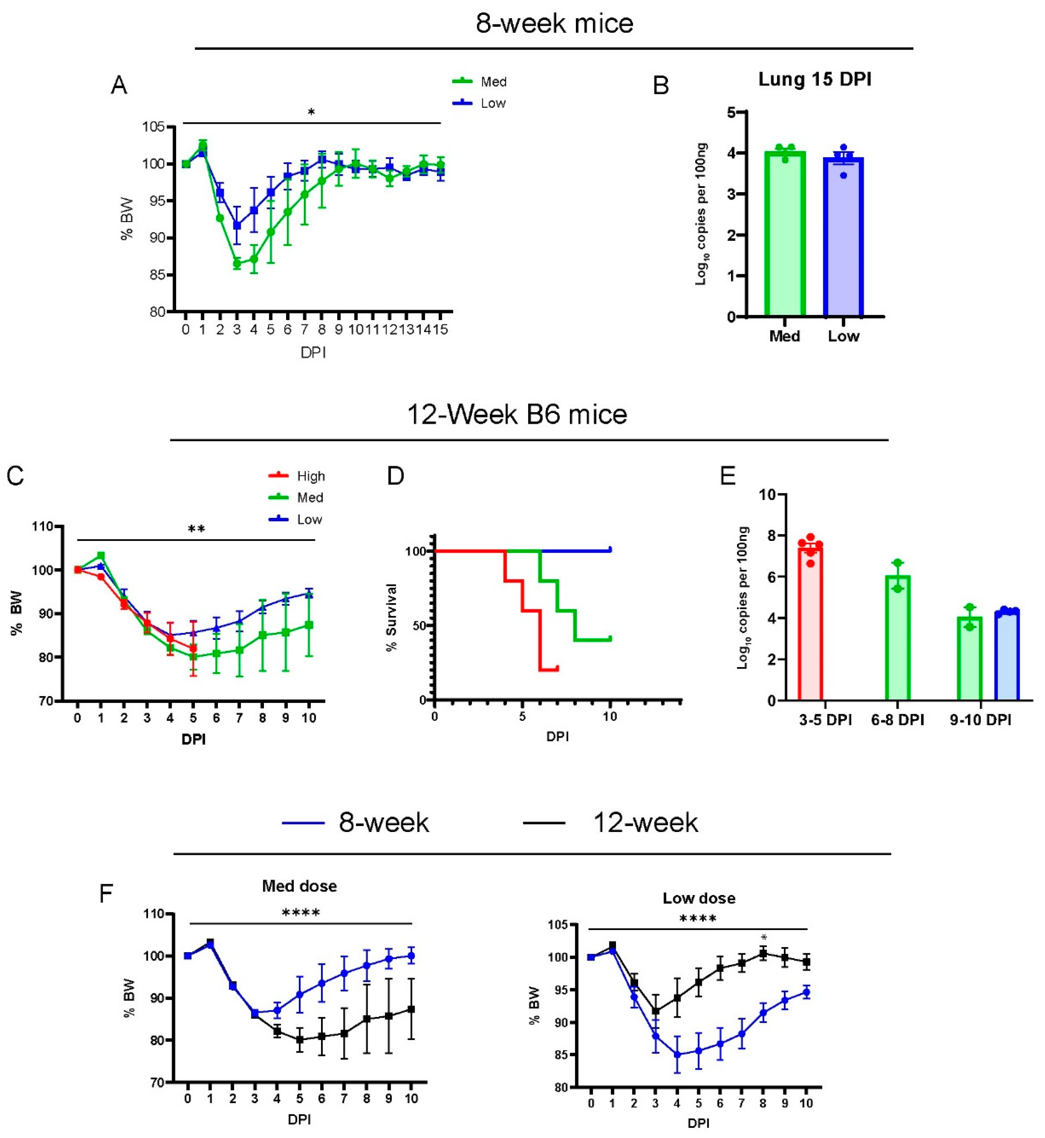 Viruses 16 00611 g001