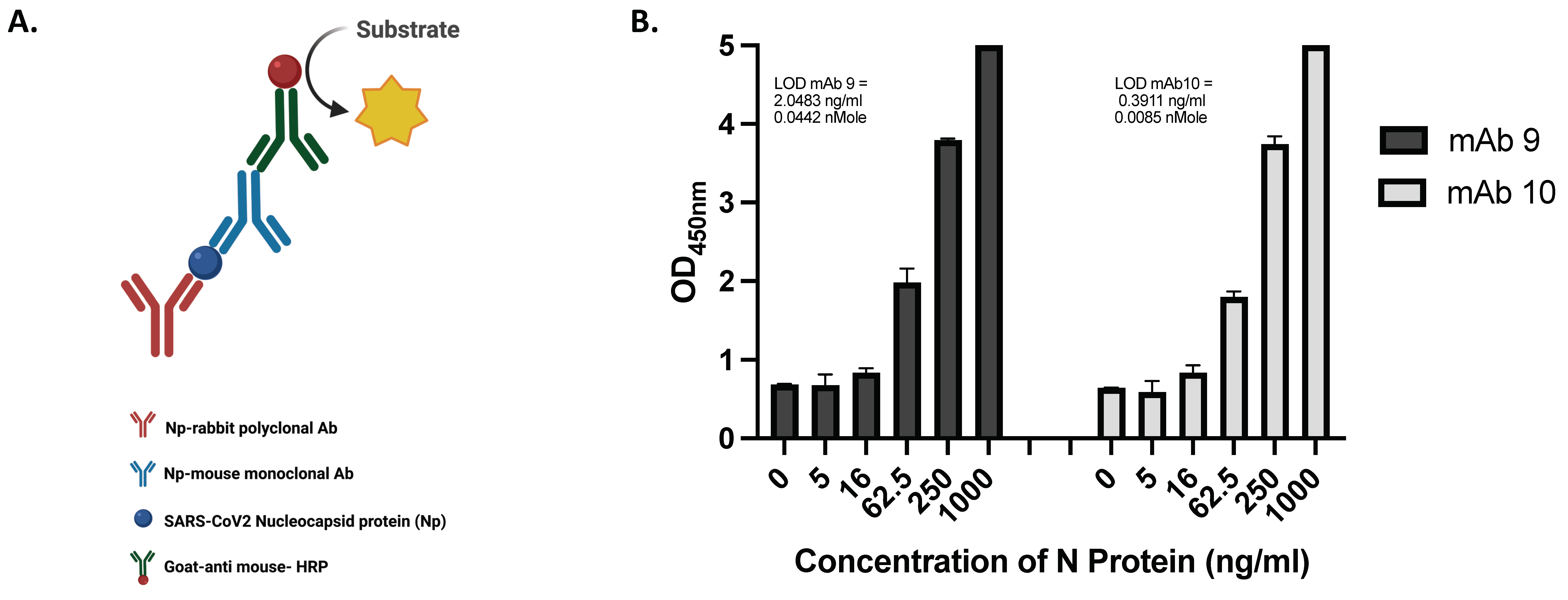 Viruses 16 00662 g002a