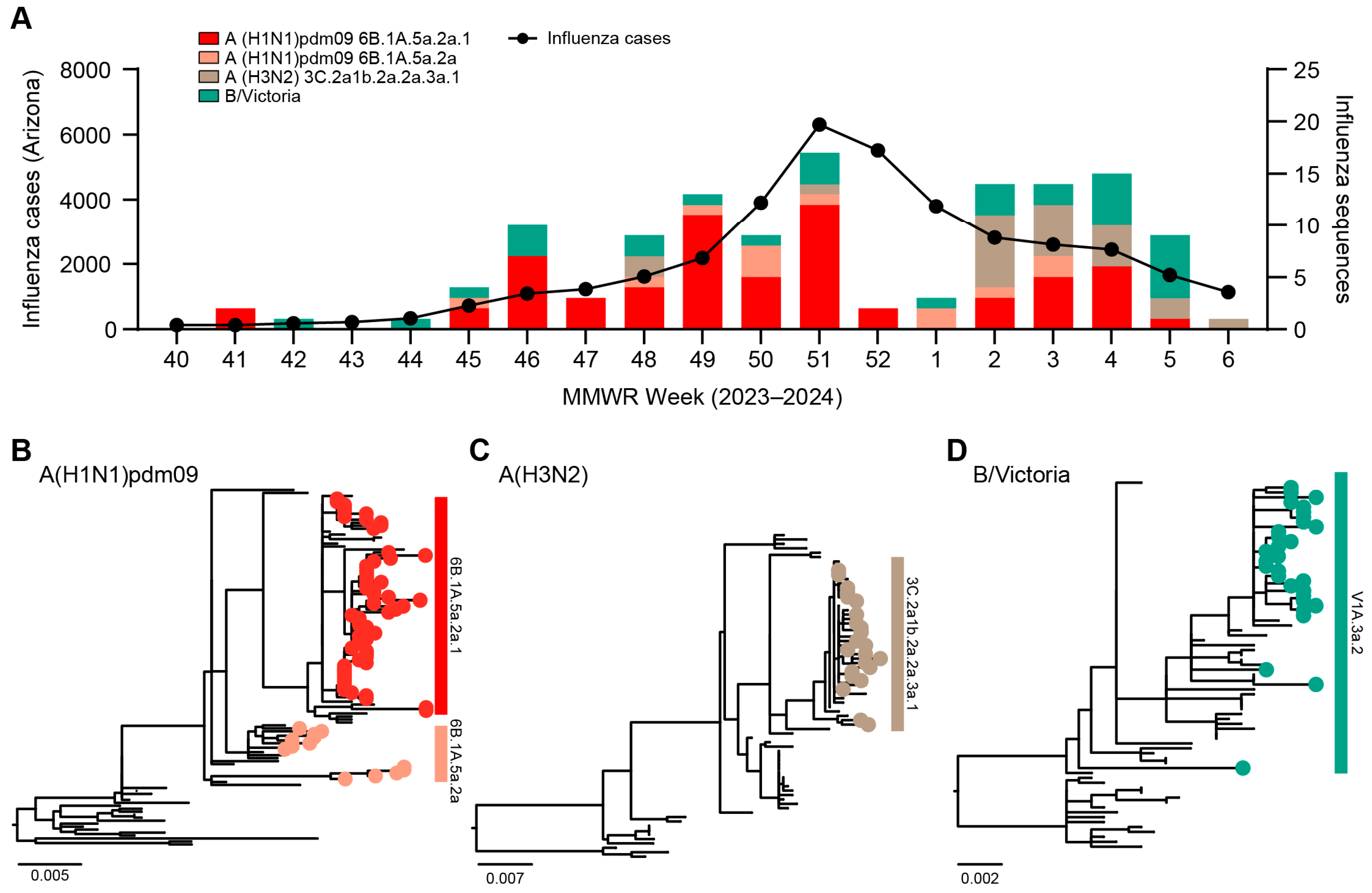 Viruses 16 00692 g001