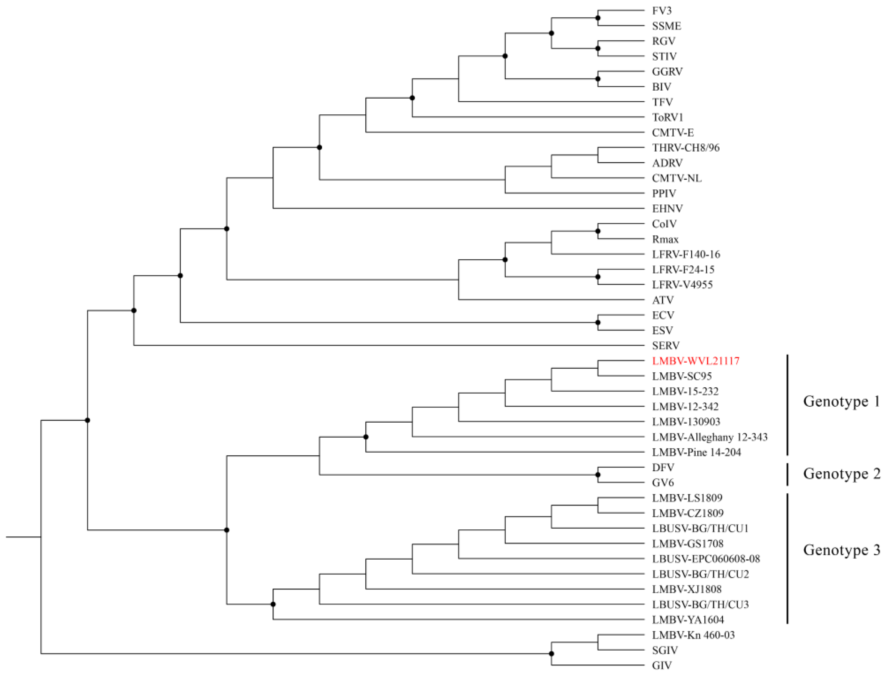 Viruses 16 00715 g005