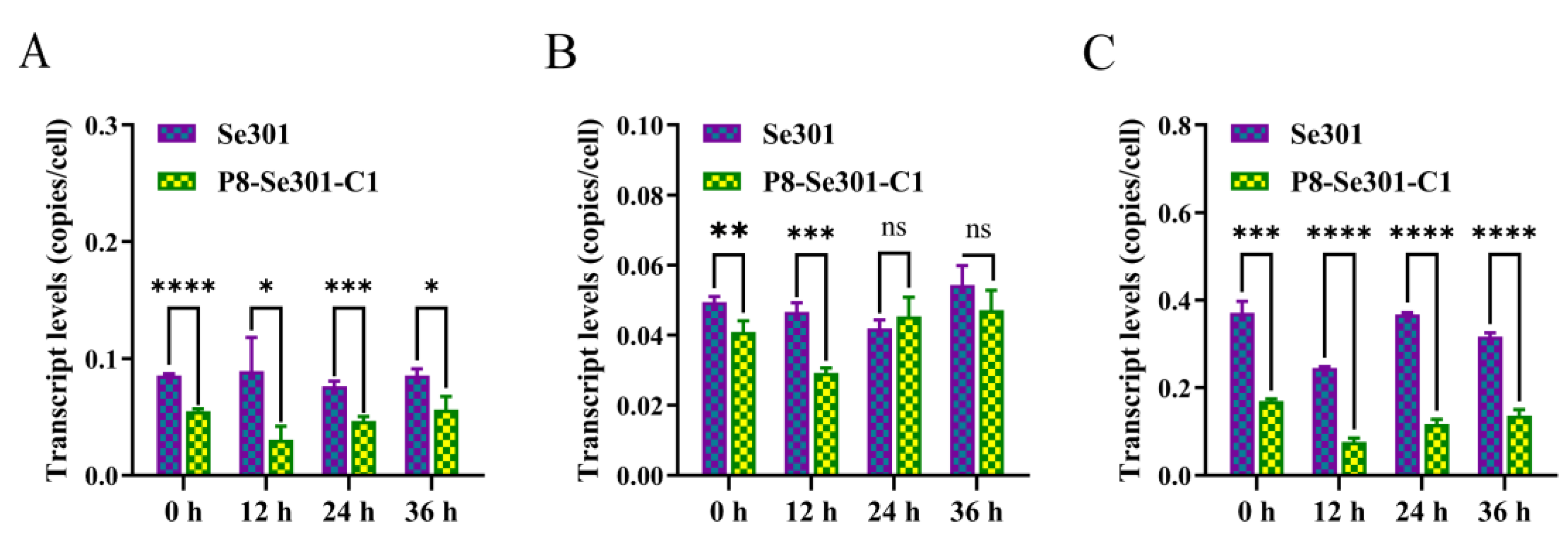 Viruses 16 00736 g002