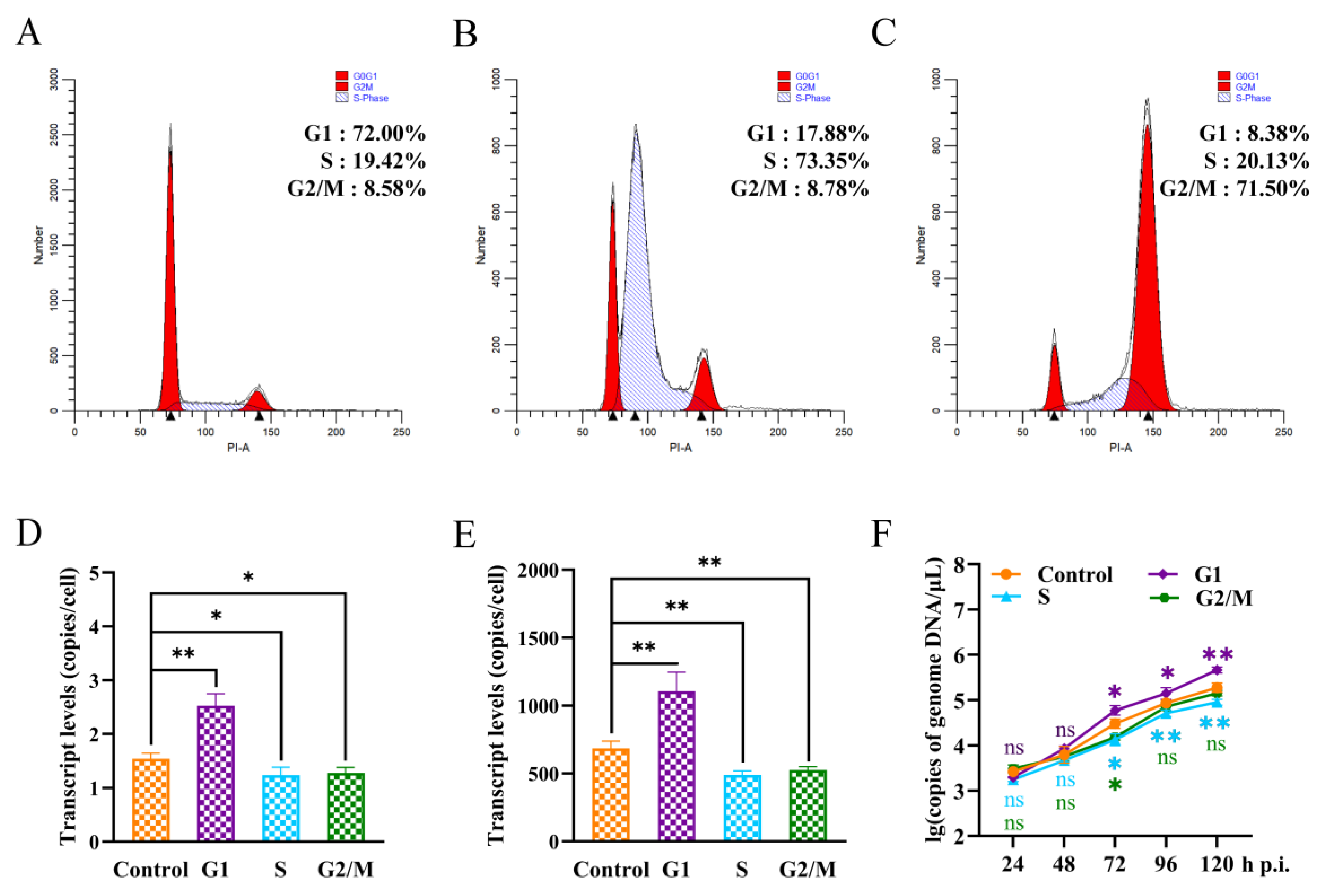 Viruses 16 00736 g004