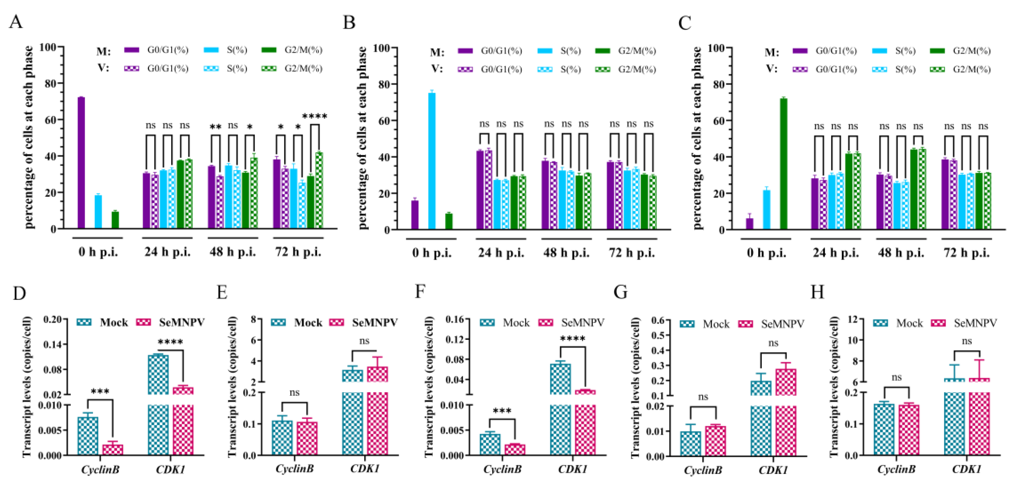 Viruses 16 00736 g005