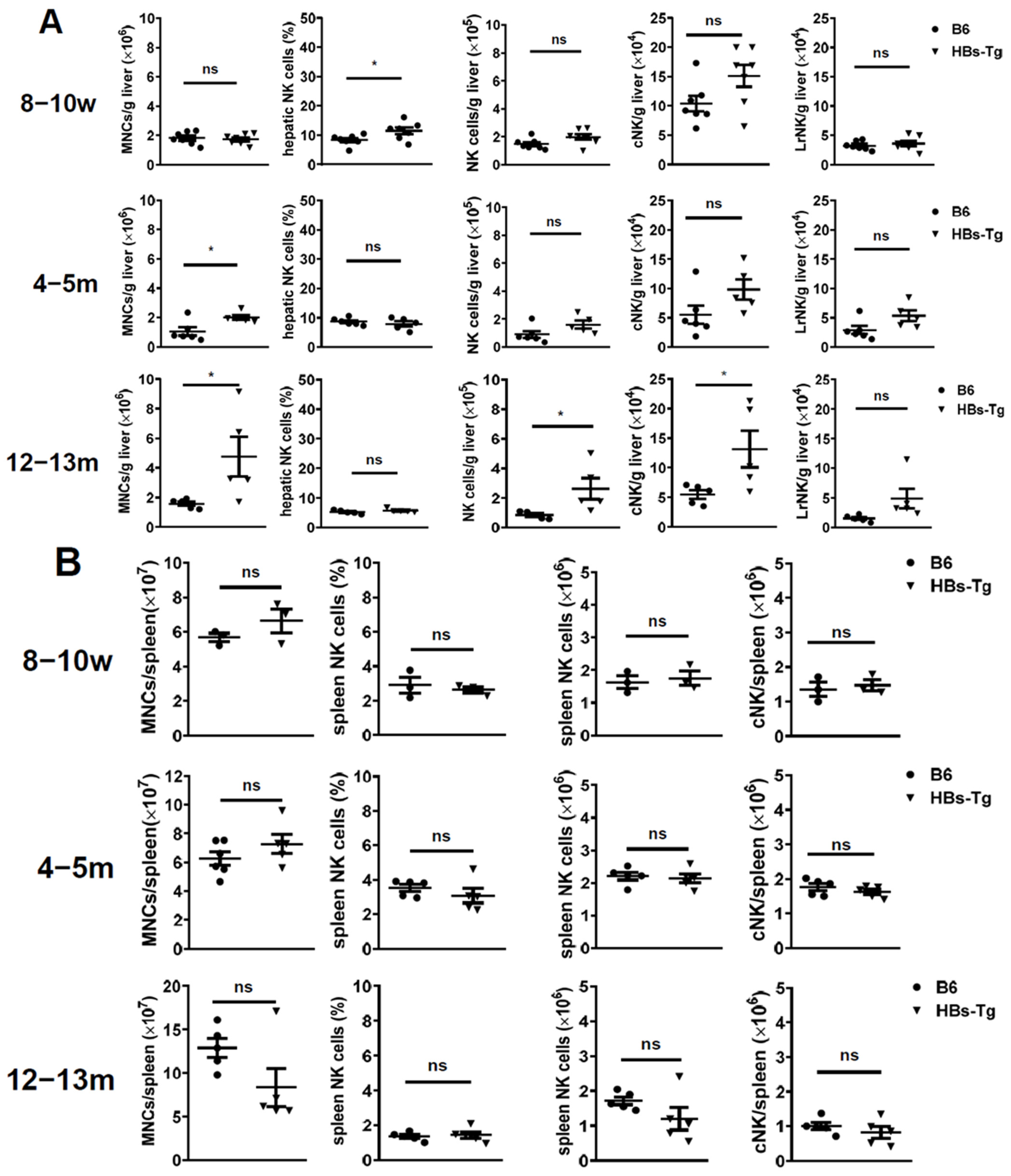 Viruses 16 00737 g001