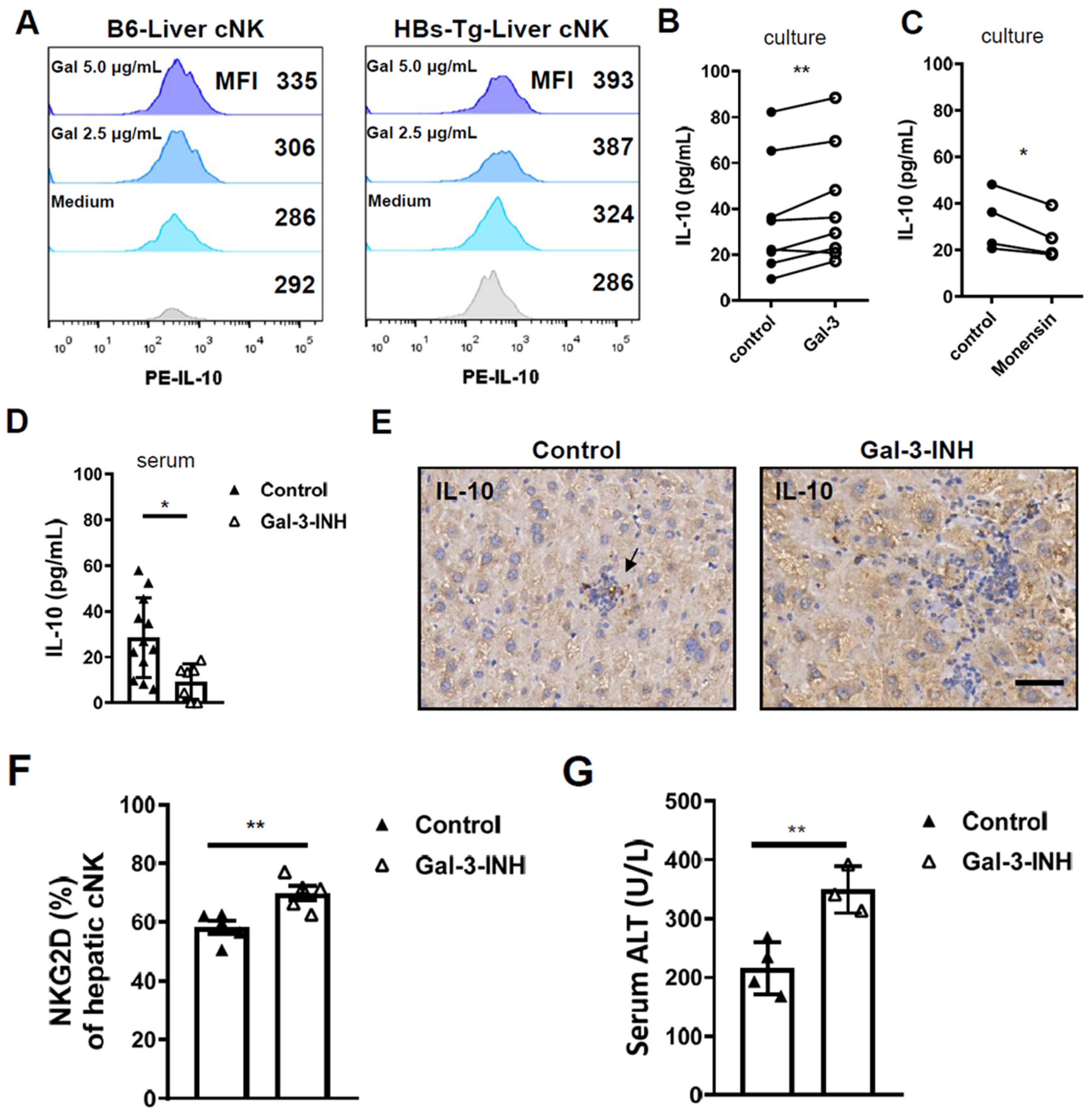 Viruses 16 00737 g006