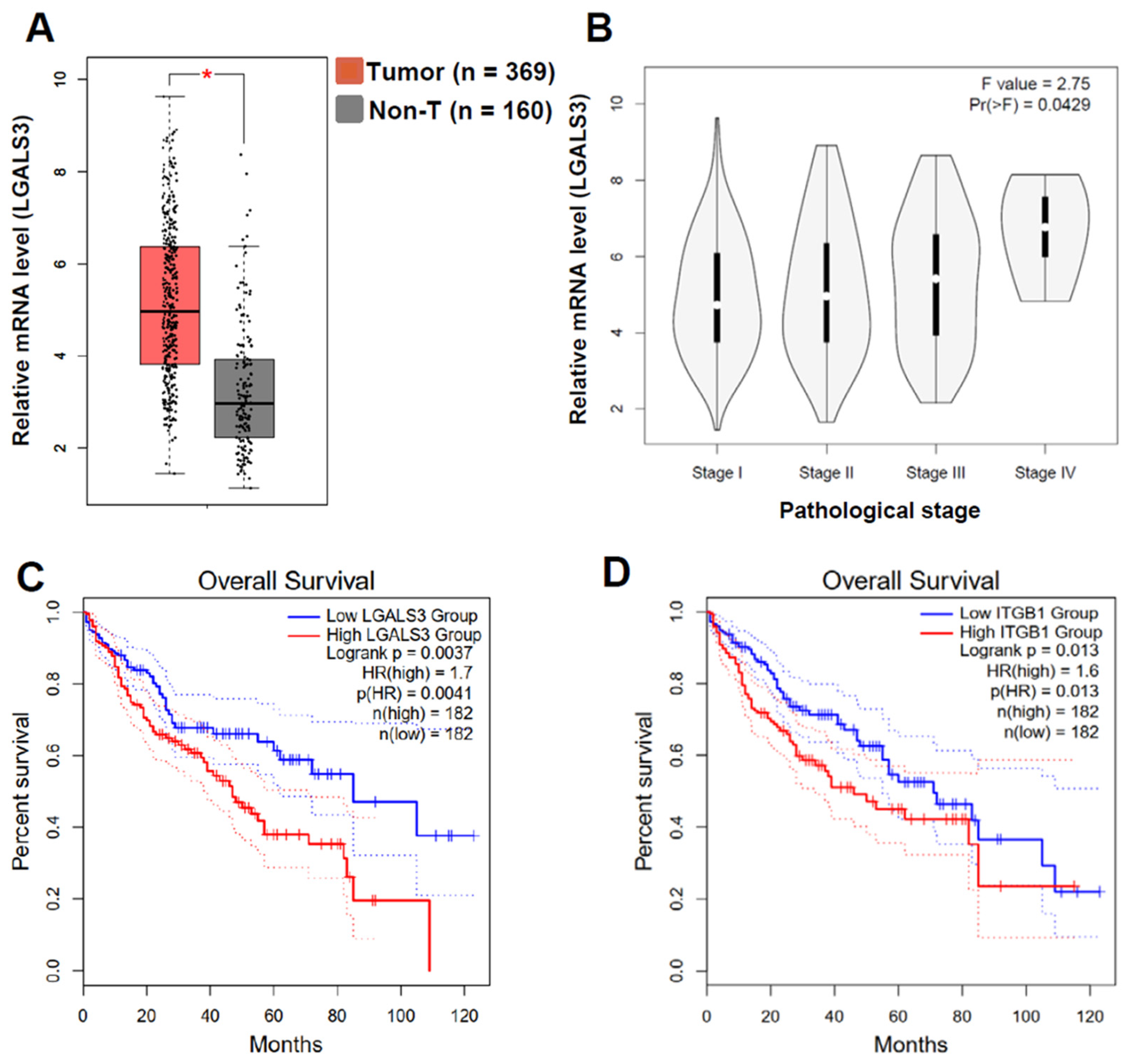 Viruses 16 00737 g008