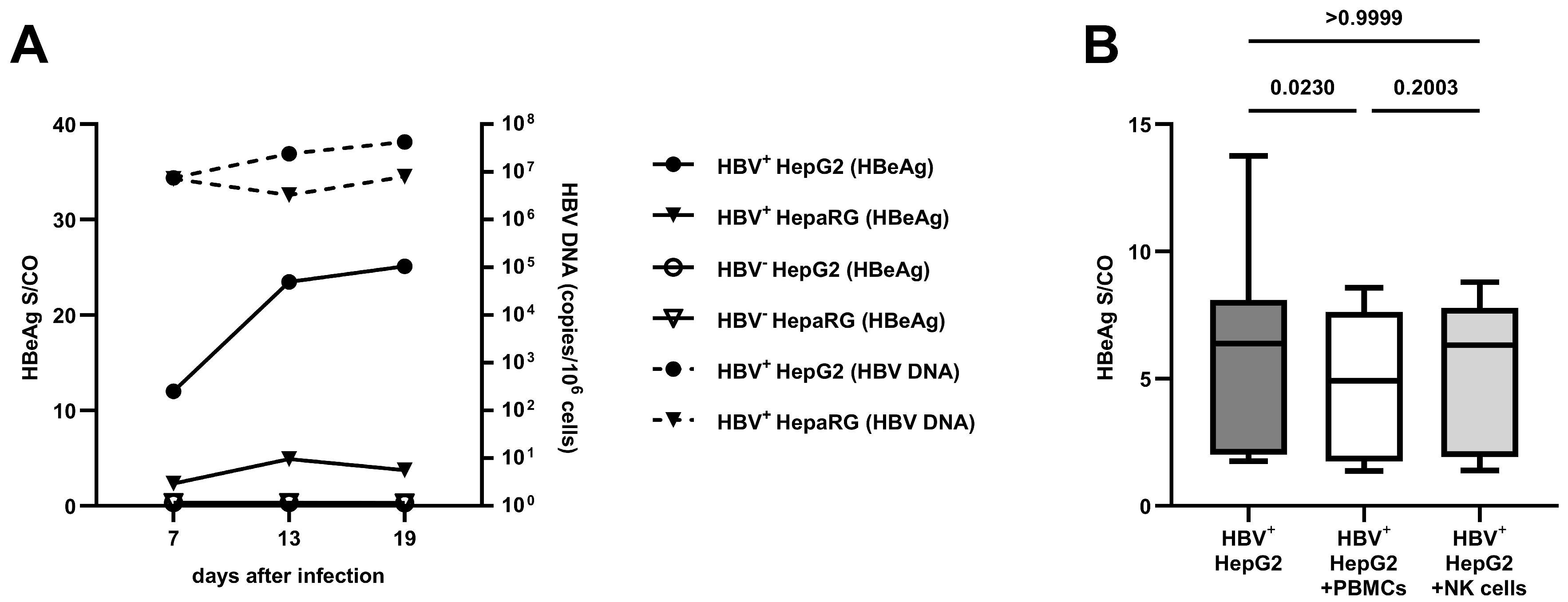 Viruses 16 00741 g001 Viruses 16 00741 g001