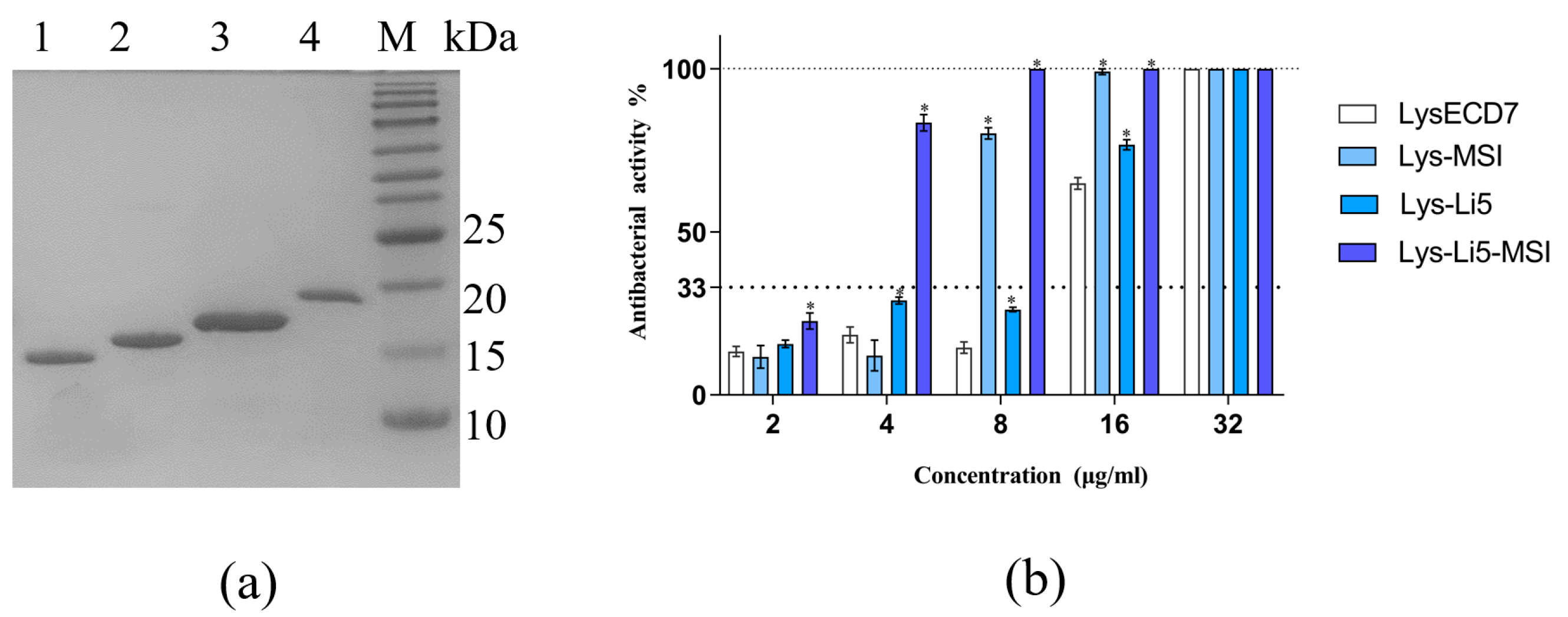 Viruses 16 00760 g001