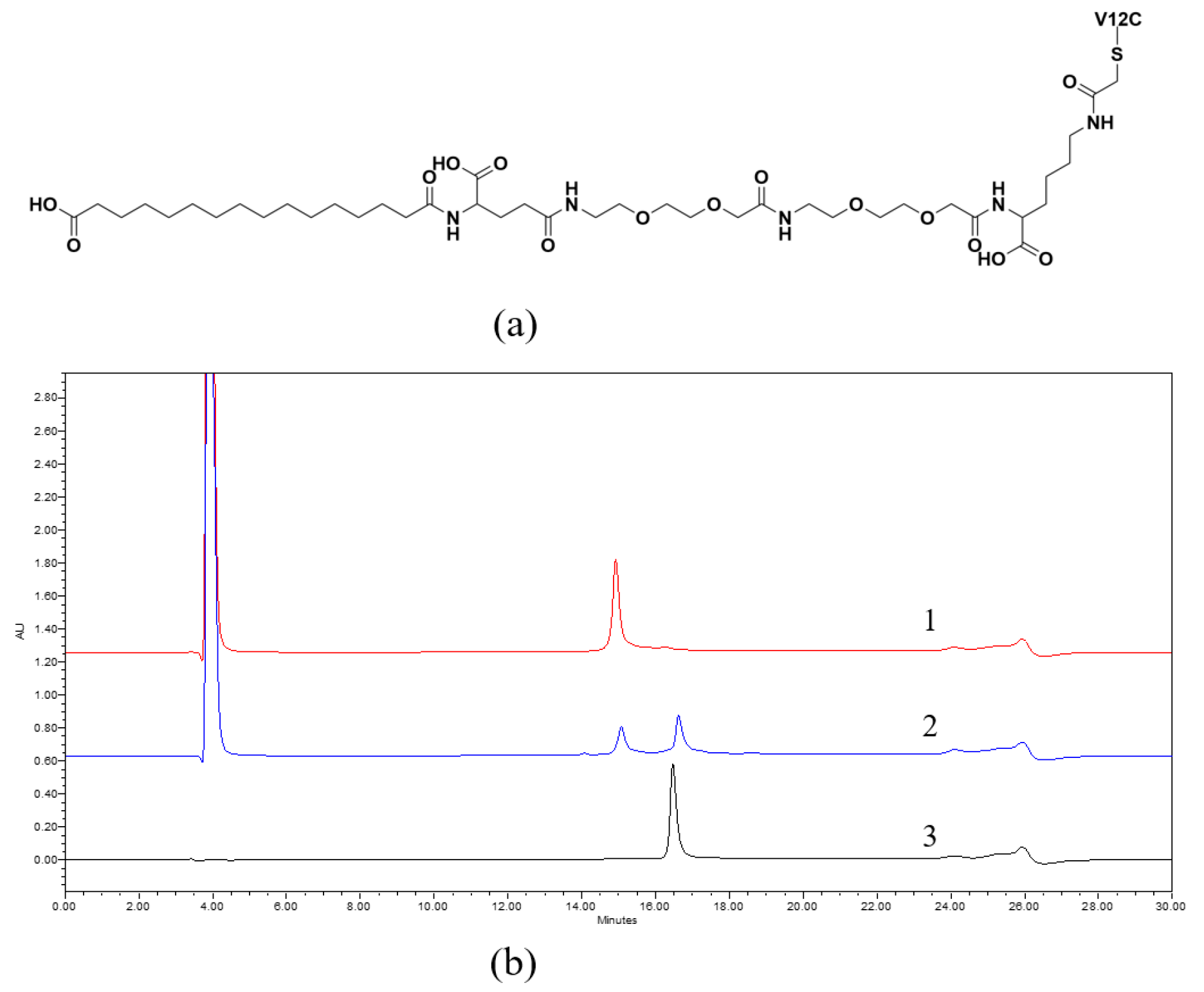 Viruses 16 00760 g002