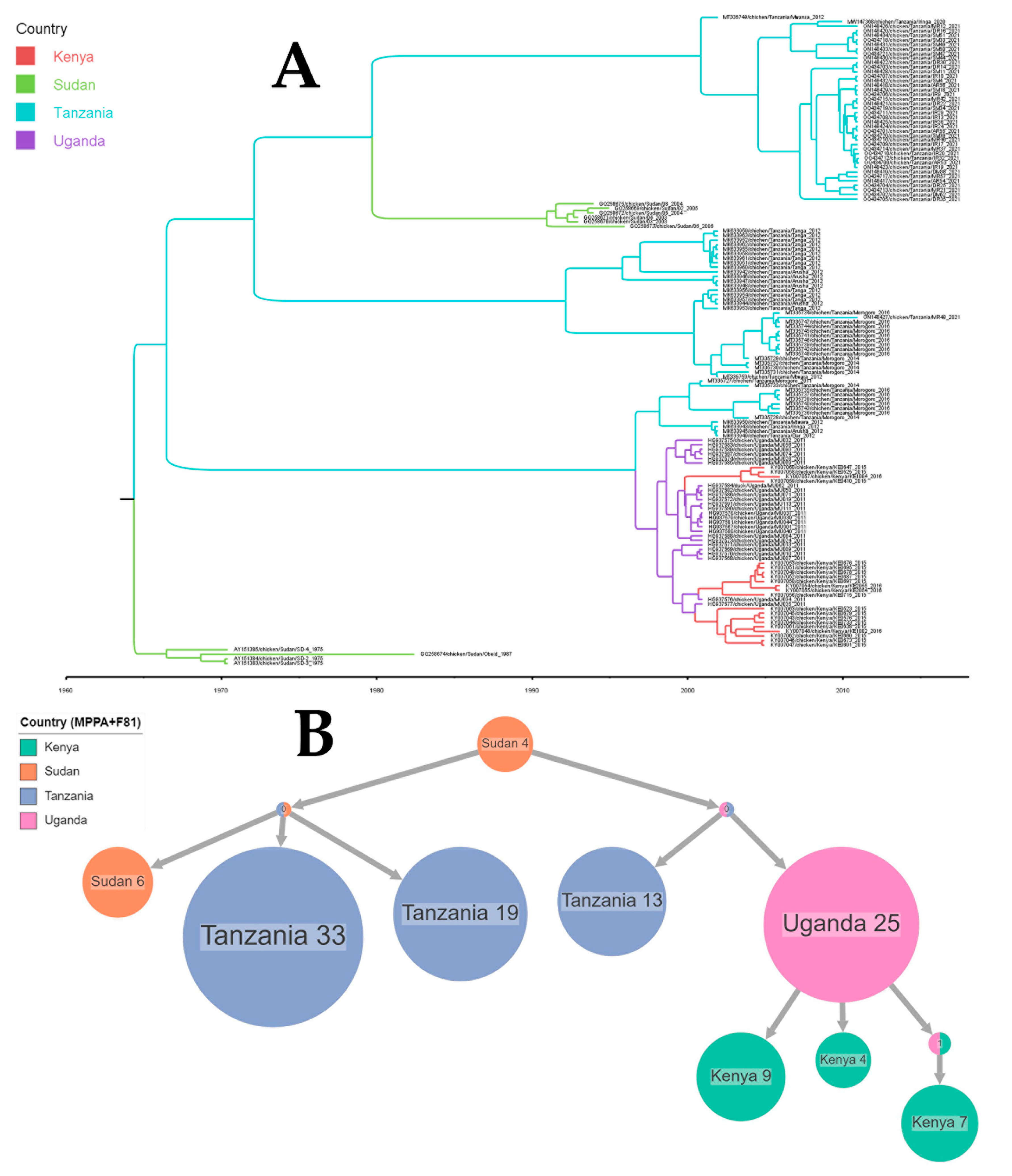 Viruses 16 00795 g004 Viruses 16 00795 g004