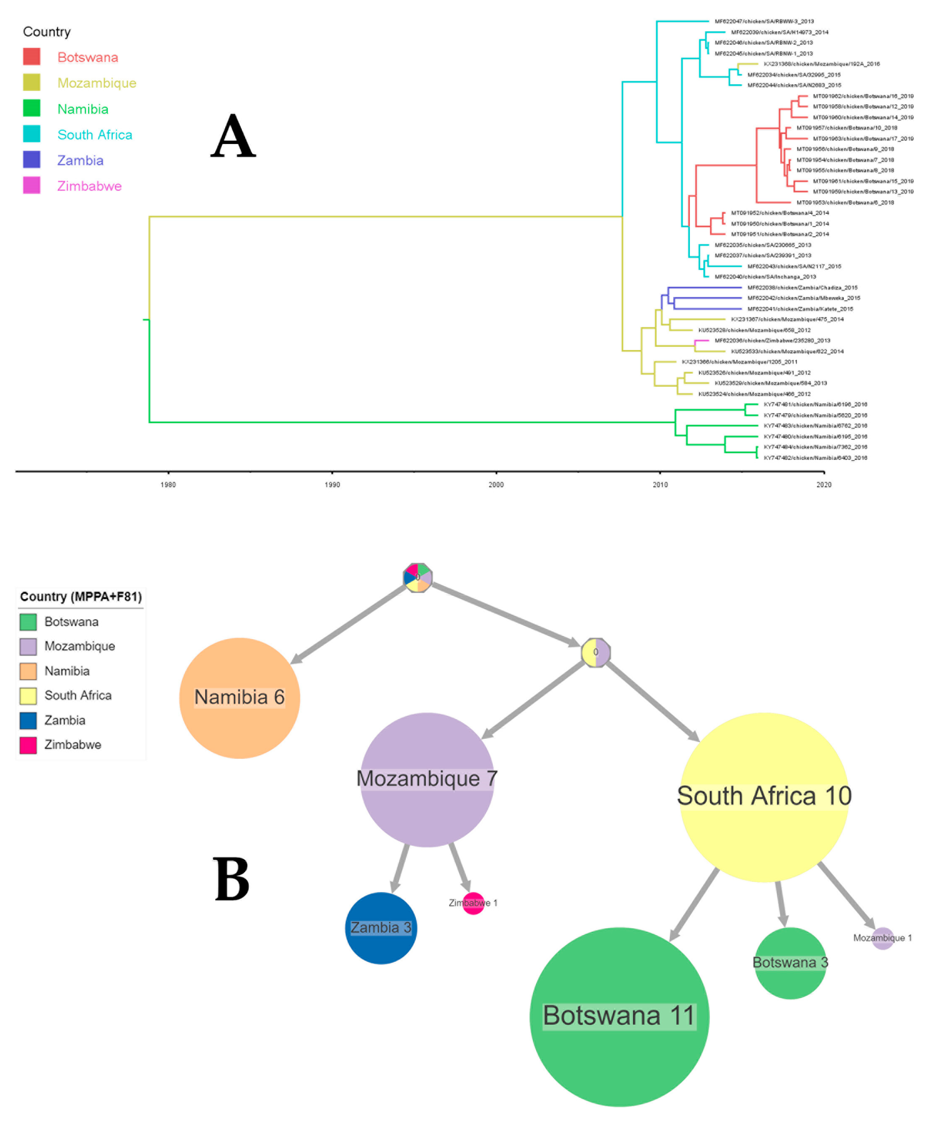 Viruses 16 00795 g005 Viruses 16 00795 g005