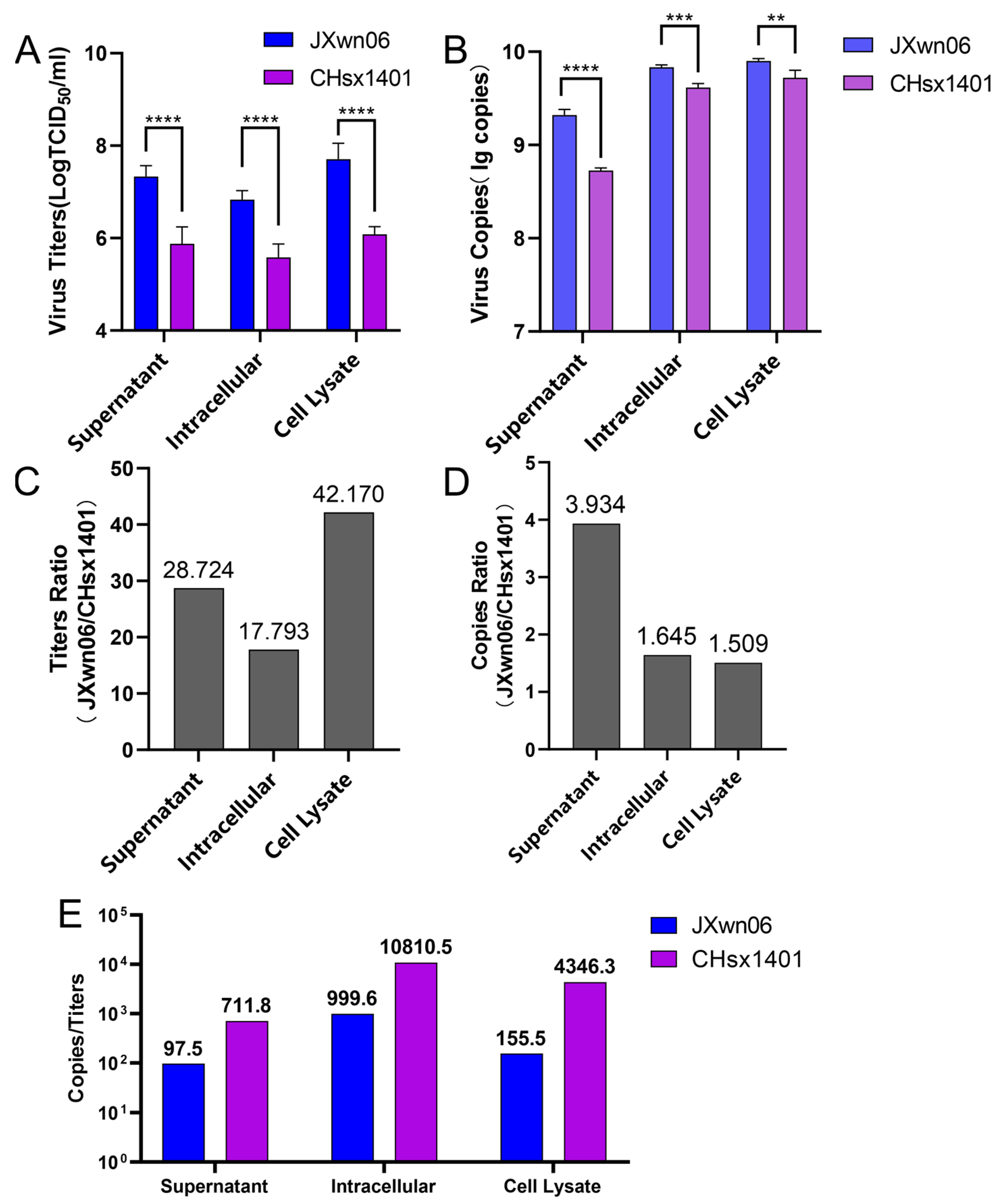 Viruses 16 00797 g002 Viruses 16 00797 g002