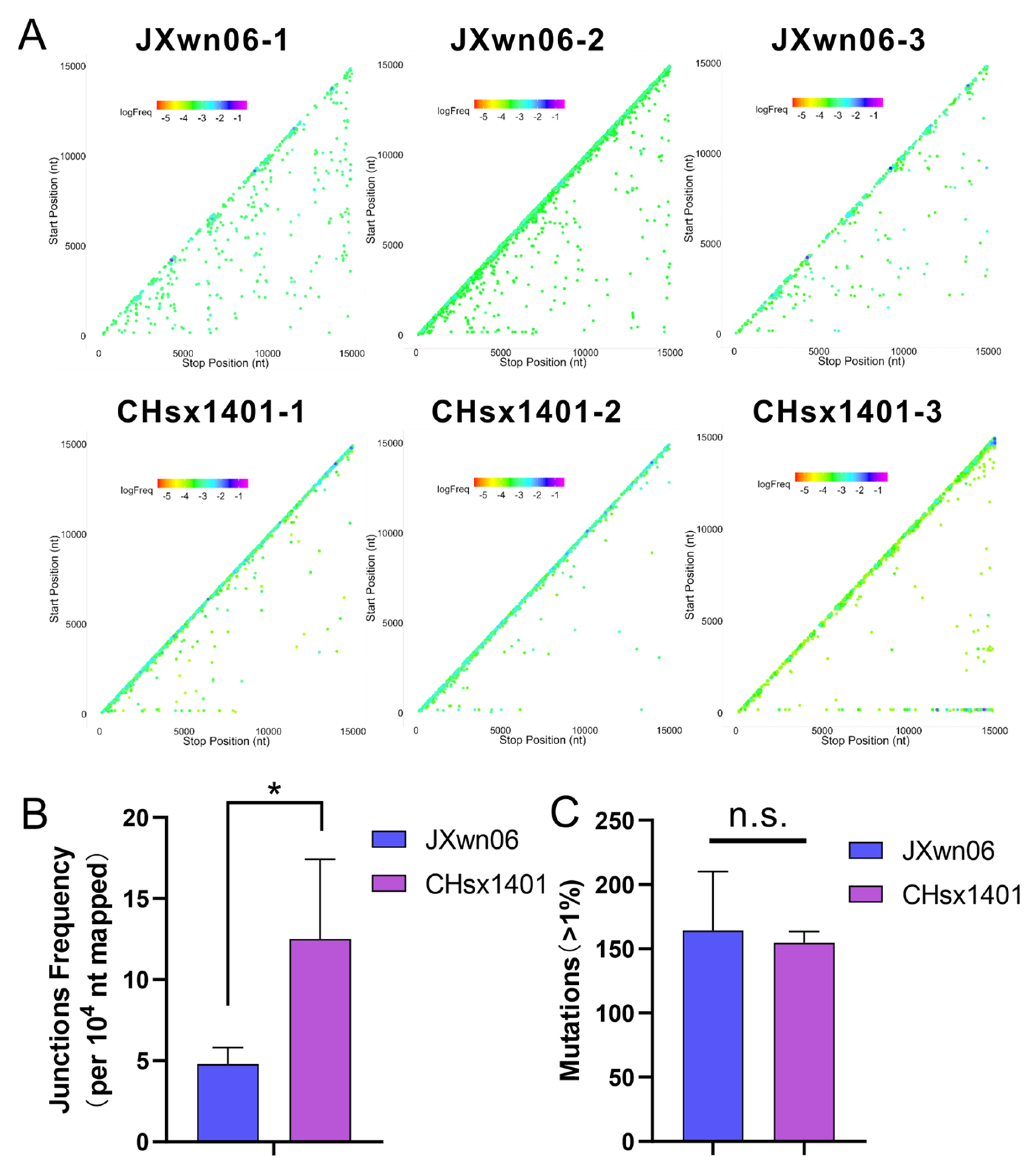 Viruses 16 00797 g003 Viruses 16 00797 g003