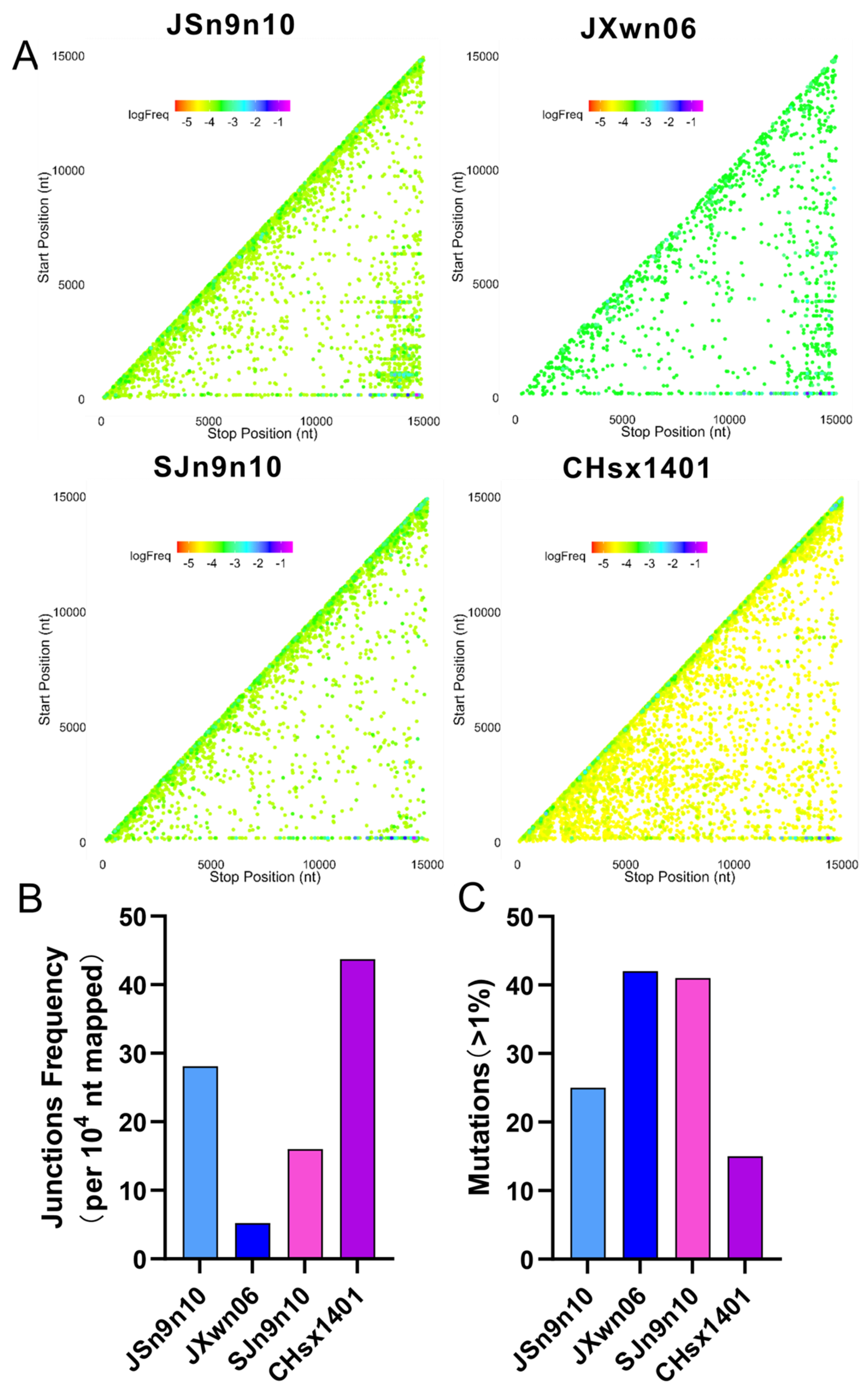 Viruses 16 00797 g005 Viruses 16 00797 g005